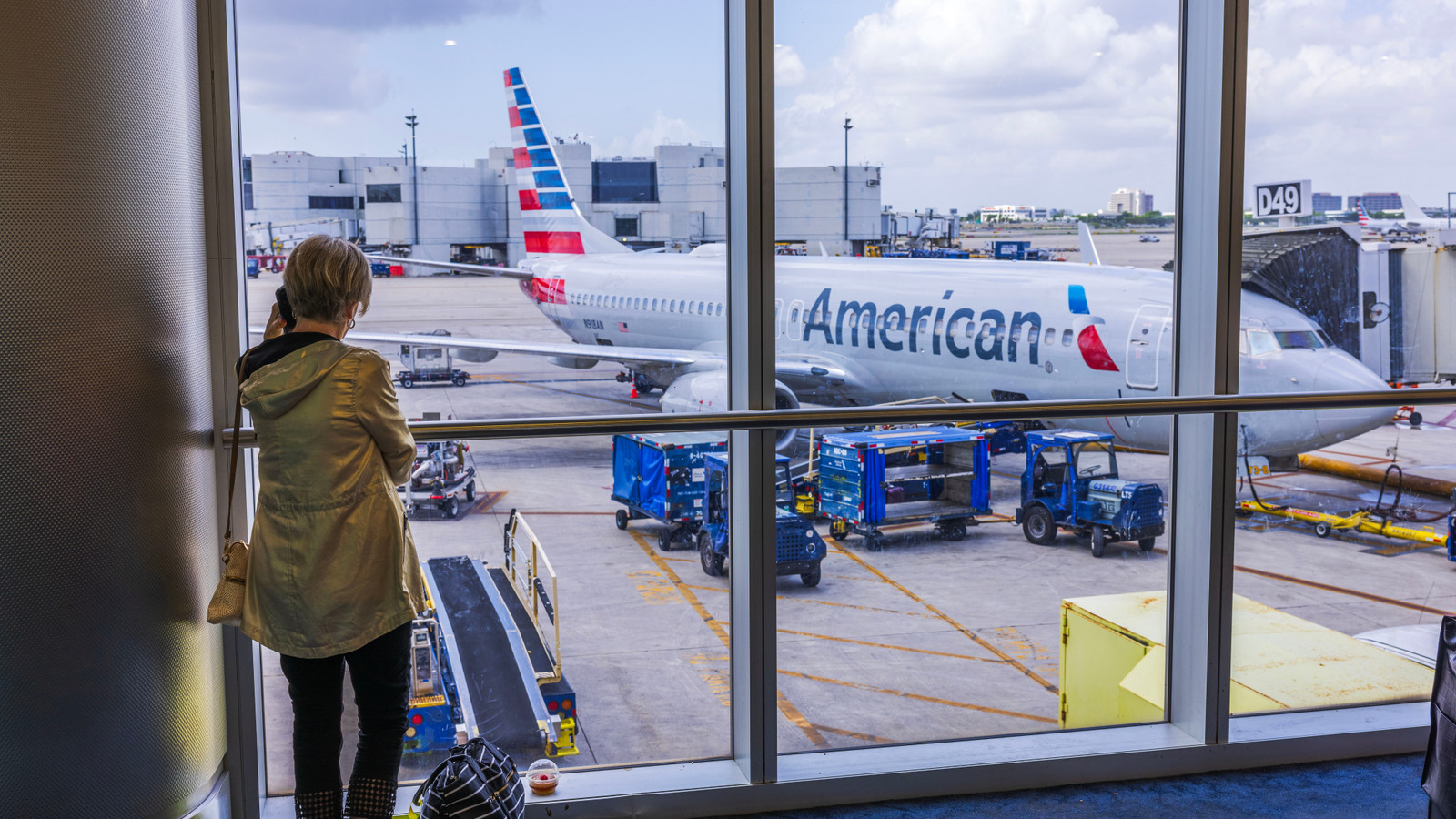 American Airlines Bans Passengers' 'Emotional Support' Device From August 17 Over Safety Concerns