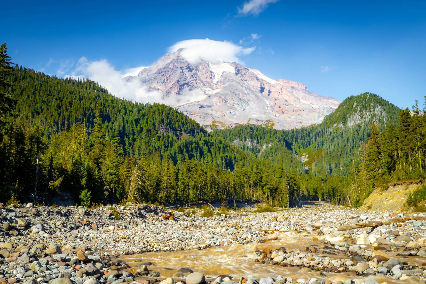El Parque Nacional Monte Rainier implementa una nueva prohibición luego de graves daños a la infraestructura