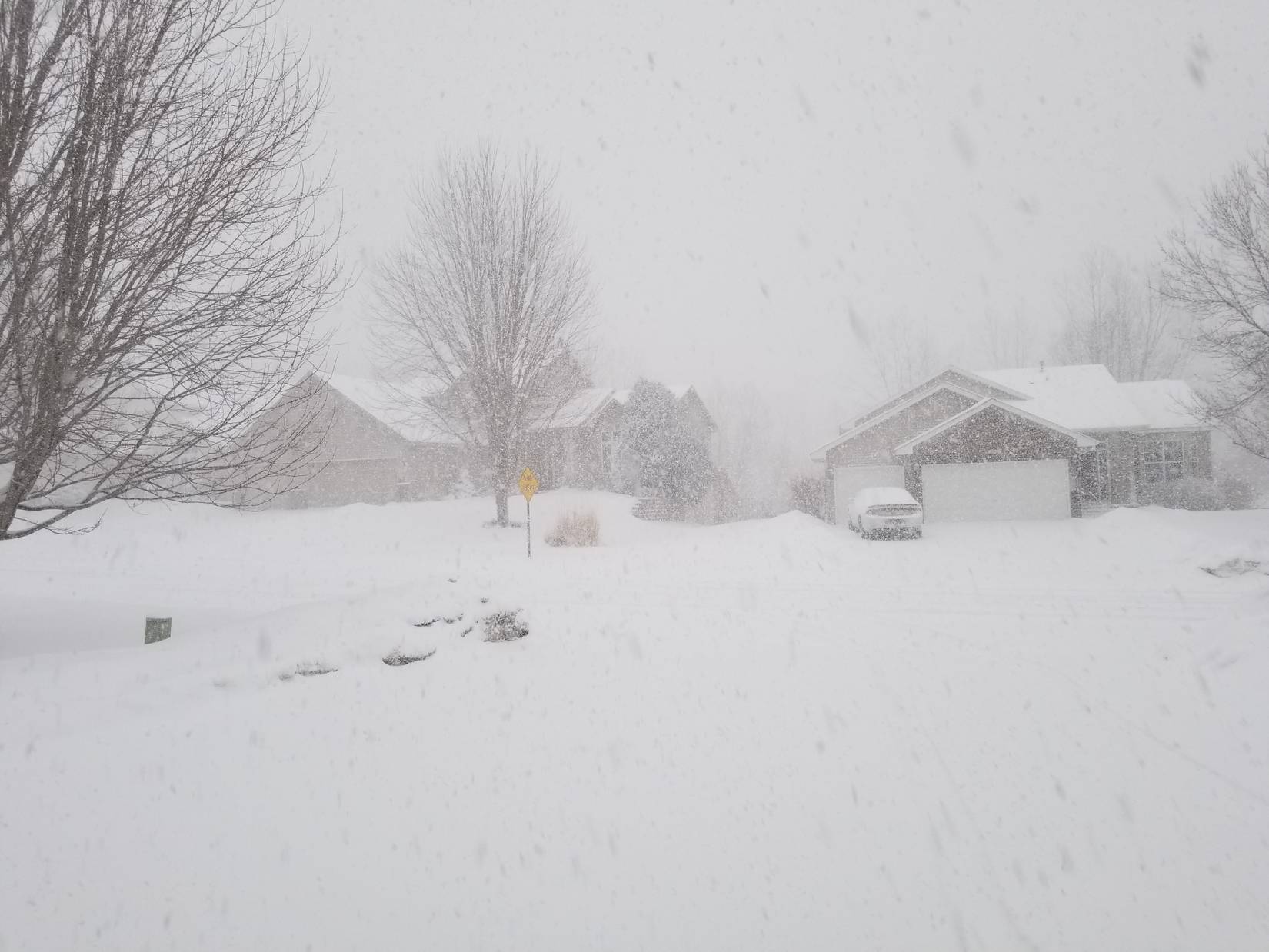 Snowstorm in Minnesota