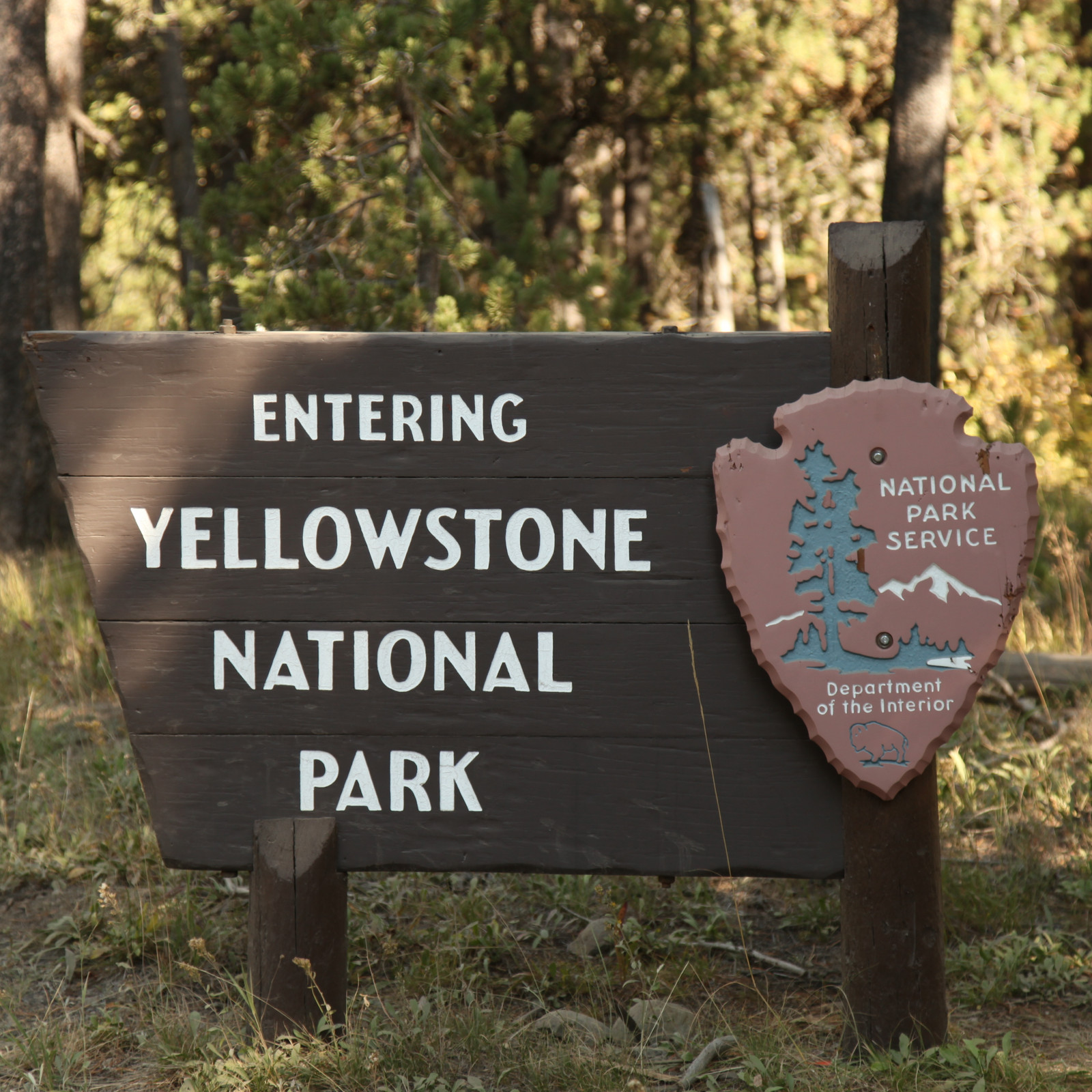 Il Fiume Yellowstone, Inverno, Parco Nazionale Di Yellowstone Immagine - Foto 8