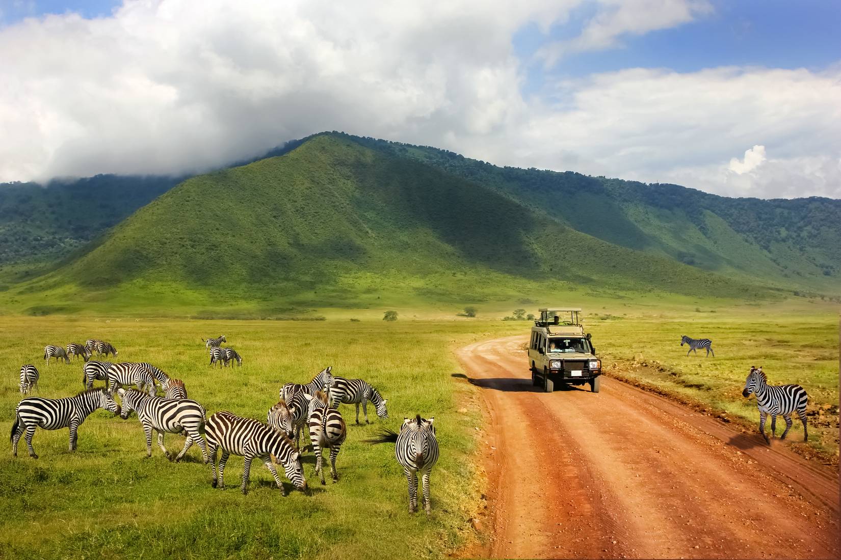 Safari in Ngorongoro Crater National Park in Tanzania, with zebras against mountains and clouds
