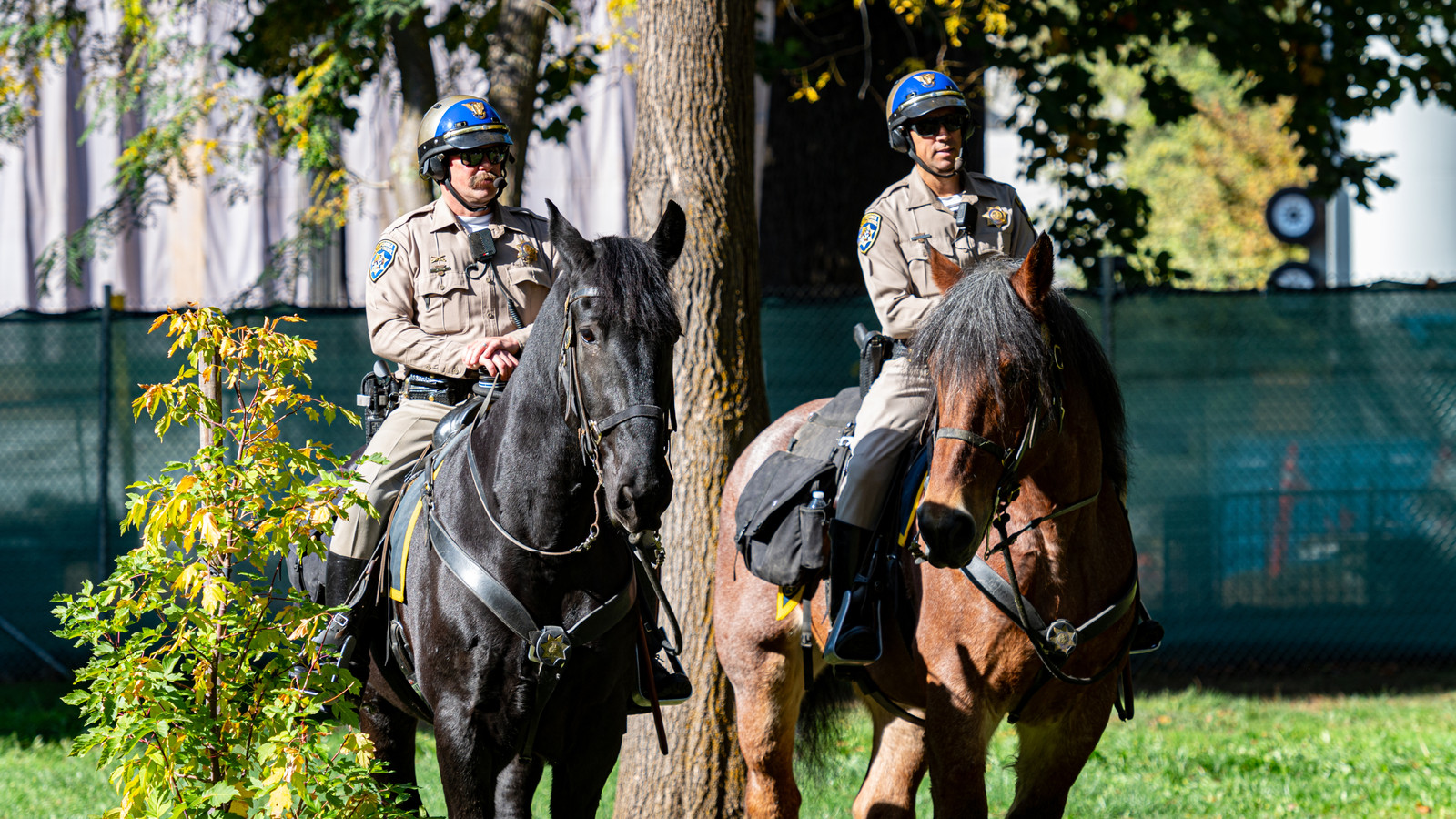 NPS Recruits New Employees With Staggering $70,000 Bonus Despite Earlier Layoffs And Hiring Freezes