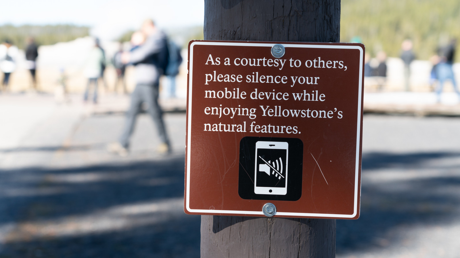 67433 Yellowstone National Park Visitors Are Feeling Indifferent After New AI ...