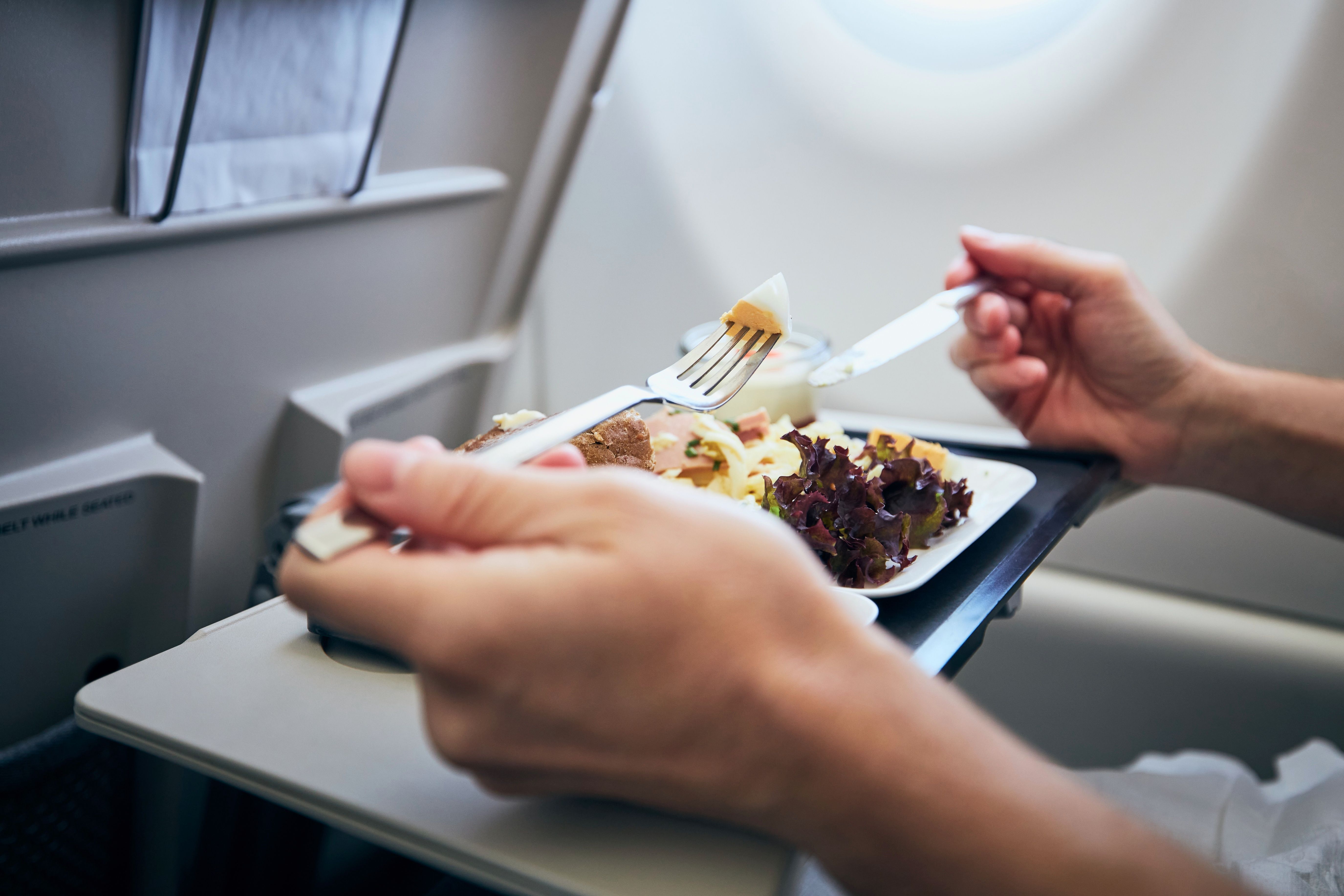 U.S. Airlines' Meals Under Investigation After Maggots And Roaches Found