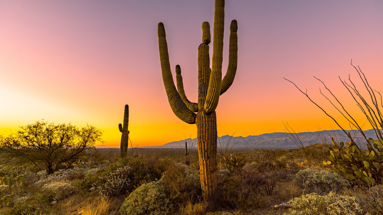 Arizona's Most Underrated National Park Just Made A Tiny Change With A  Massive Impact