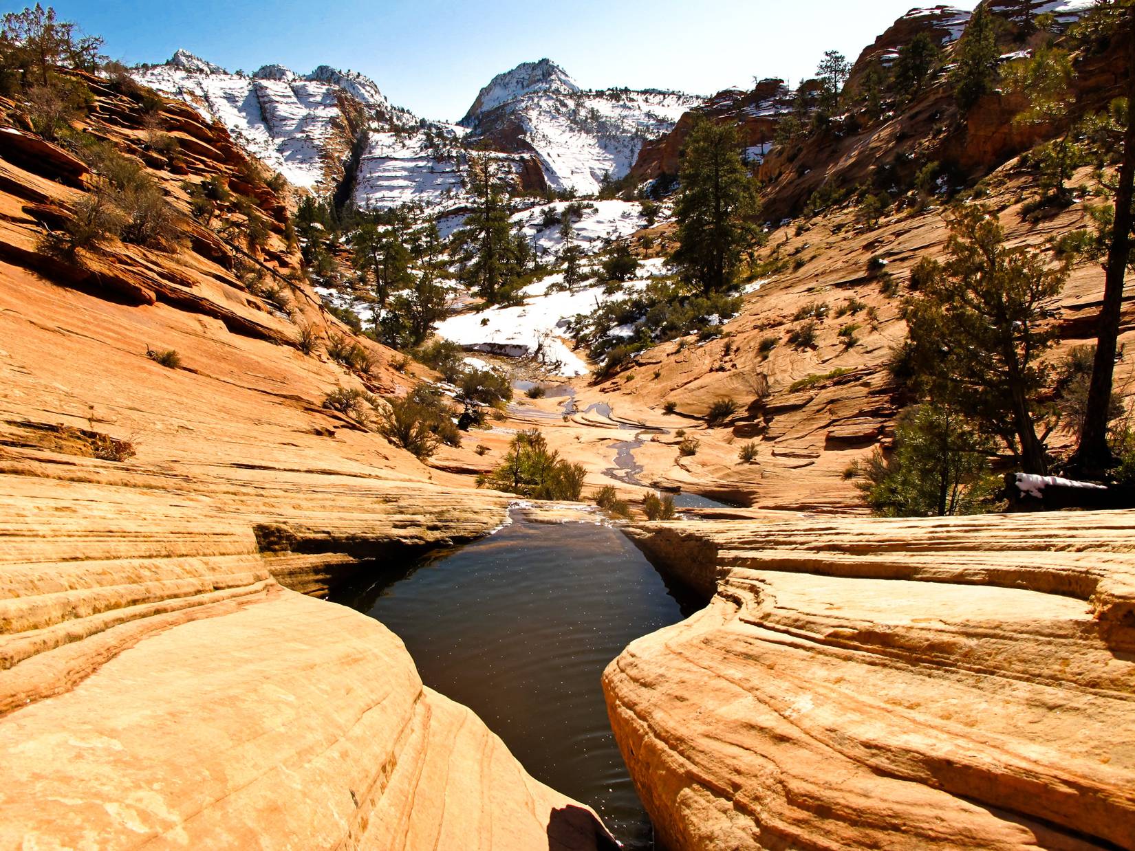 East Side of Zion National Park, Utah, USA