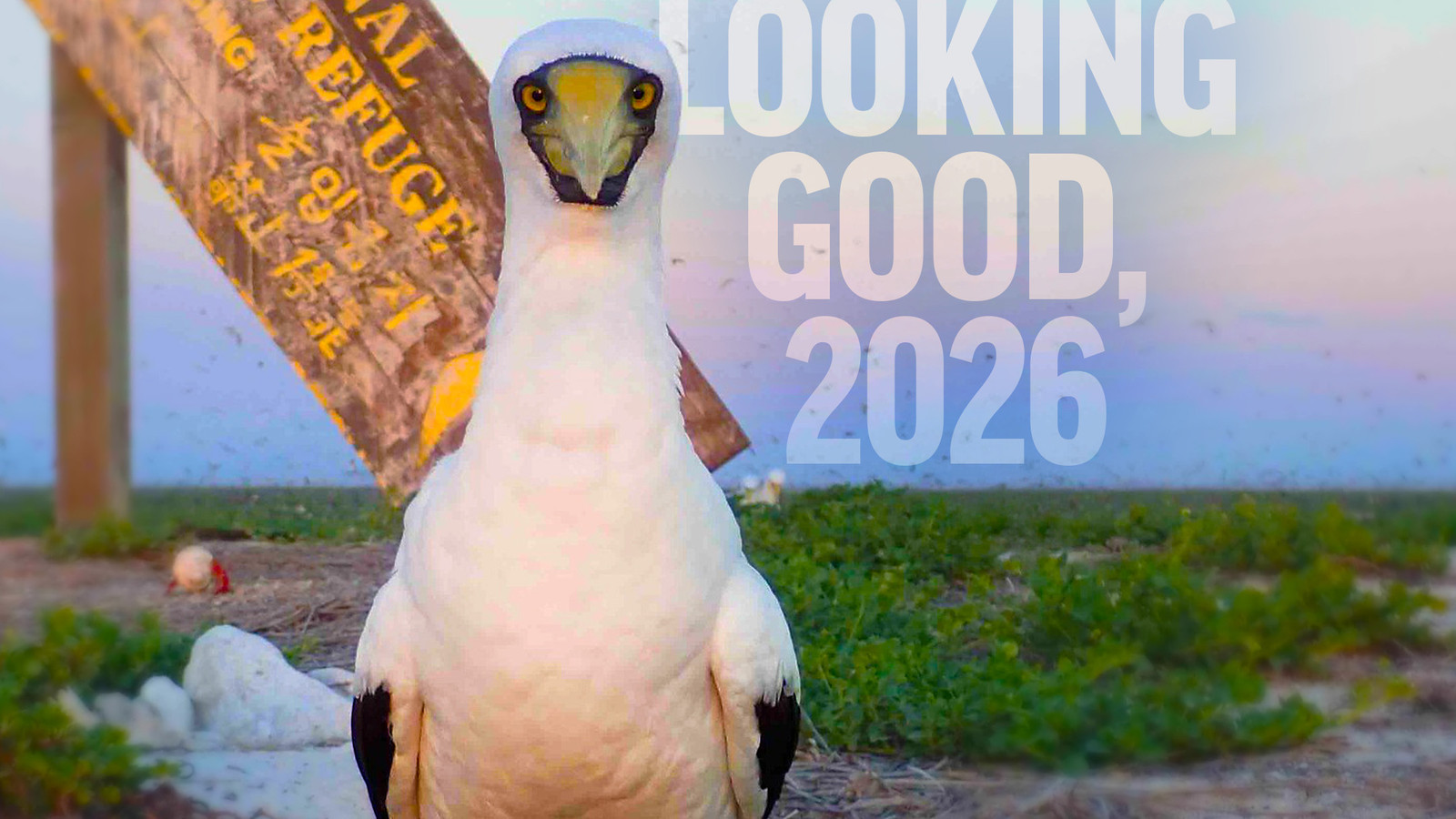 This U.S. National Park Site Will Officially Be The Last Place In The World To Welcome The New Ye