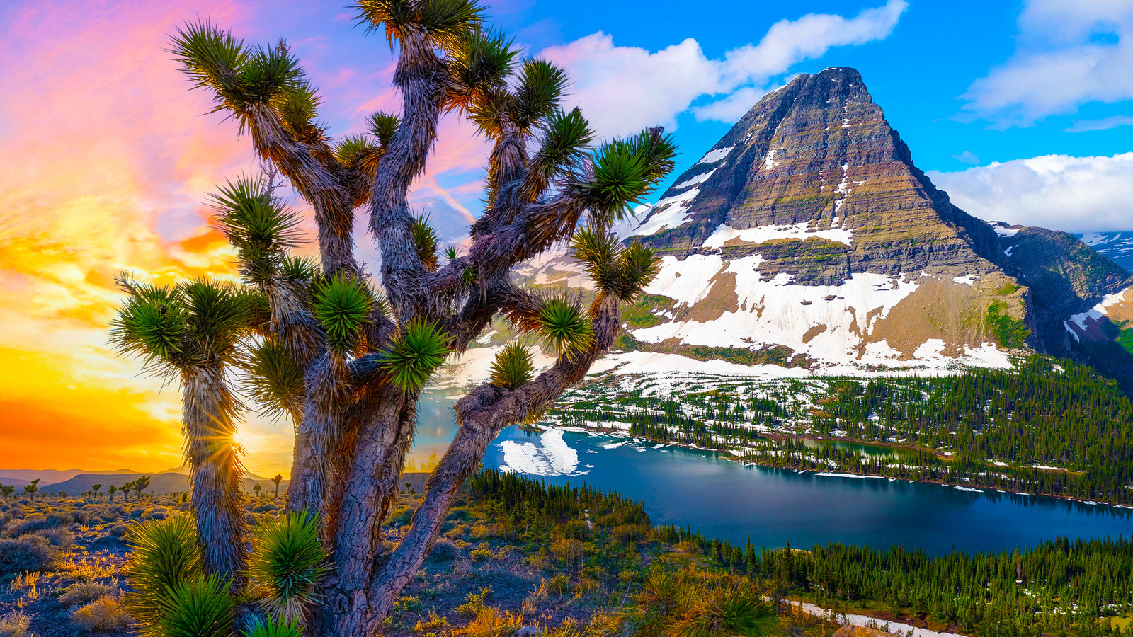 What Climate Change Could Take Away From Your National Park Bucket List