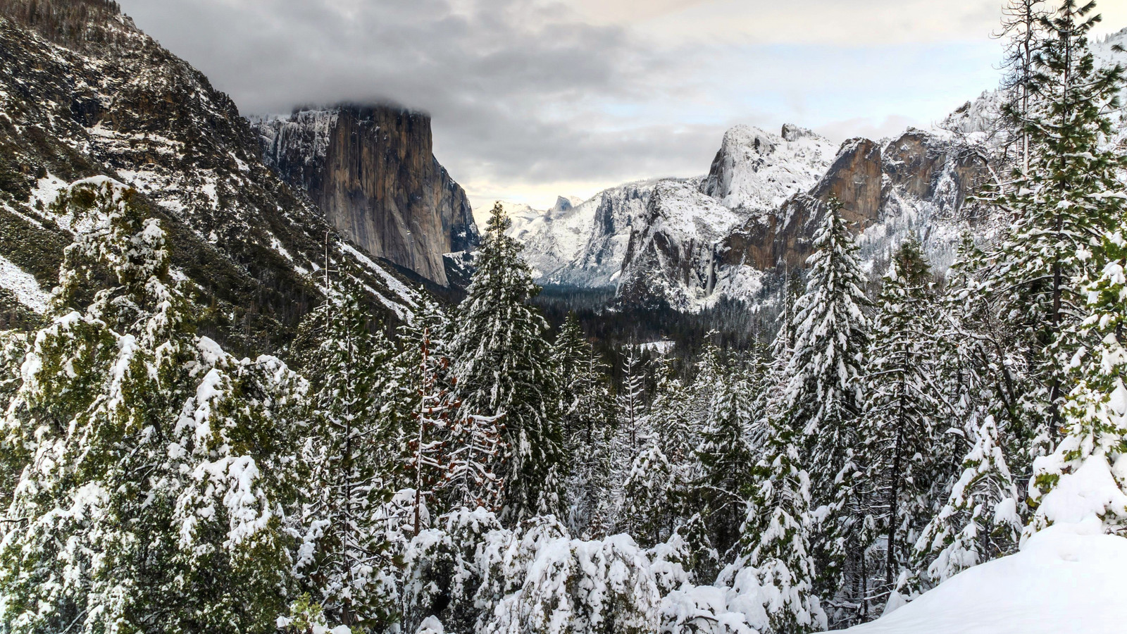 Yosemite And Sequoia National Park Visitors Warned As Dangerous Event ...