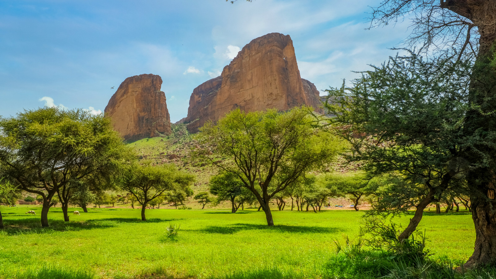 American Travelers Banned By Two More Destinations With “Do Not Travel” Advisories