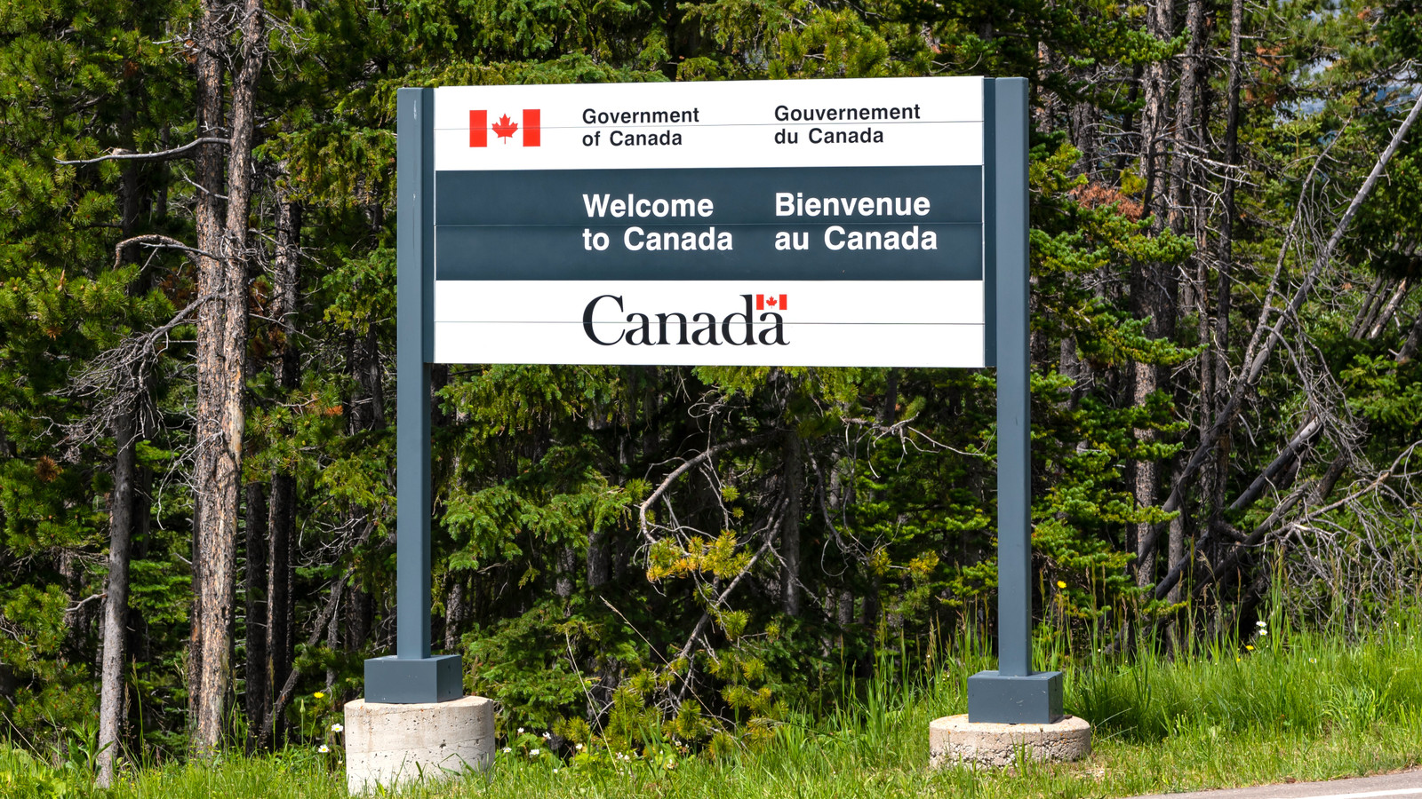 Canada Is Sending Americans A Clear Message About Where They Are Welcome As The U.S. Lets "Time Heal Itself"