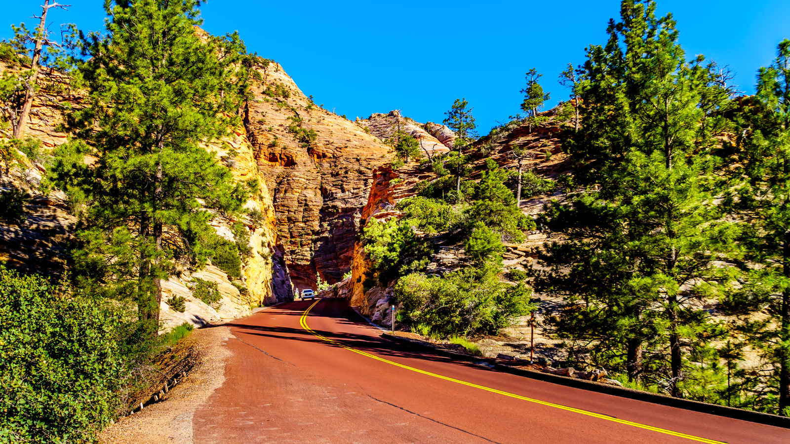 Zion National Park Warns Its Latest Act Of Vandalism May Force Visitor Behavior To “Quickly Spiral Out Of Control”