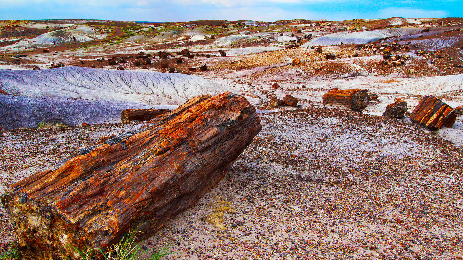 Skip Arches: Utah's Newest Park Right Next Door Is Like A Time Capsule Full Of Prehistoric S