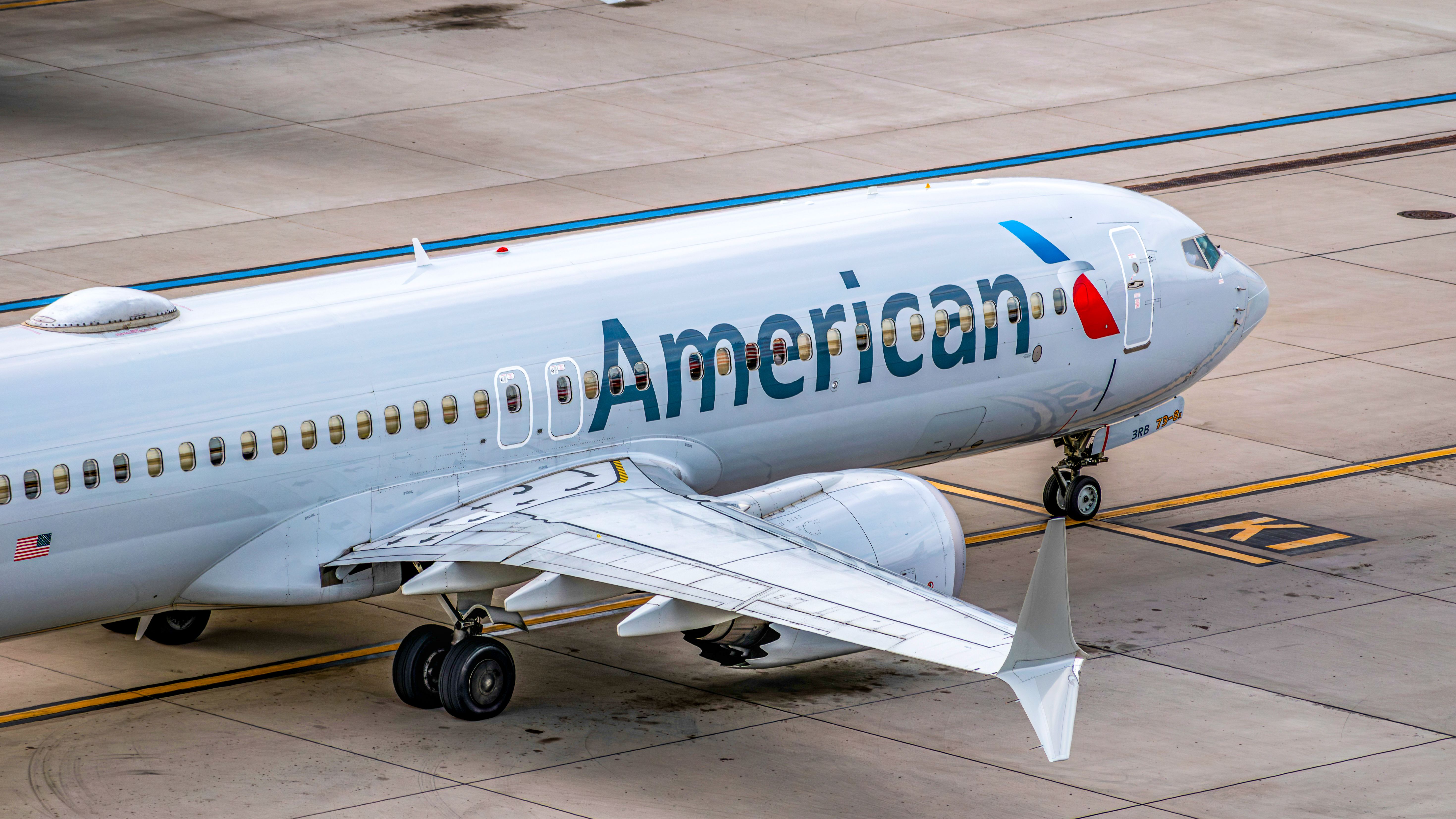 American Airlines Keeps Quiet After Flight Attendant Terrifies Disabled Passenger In Service Dog Incident