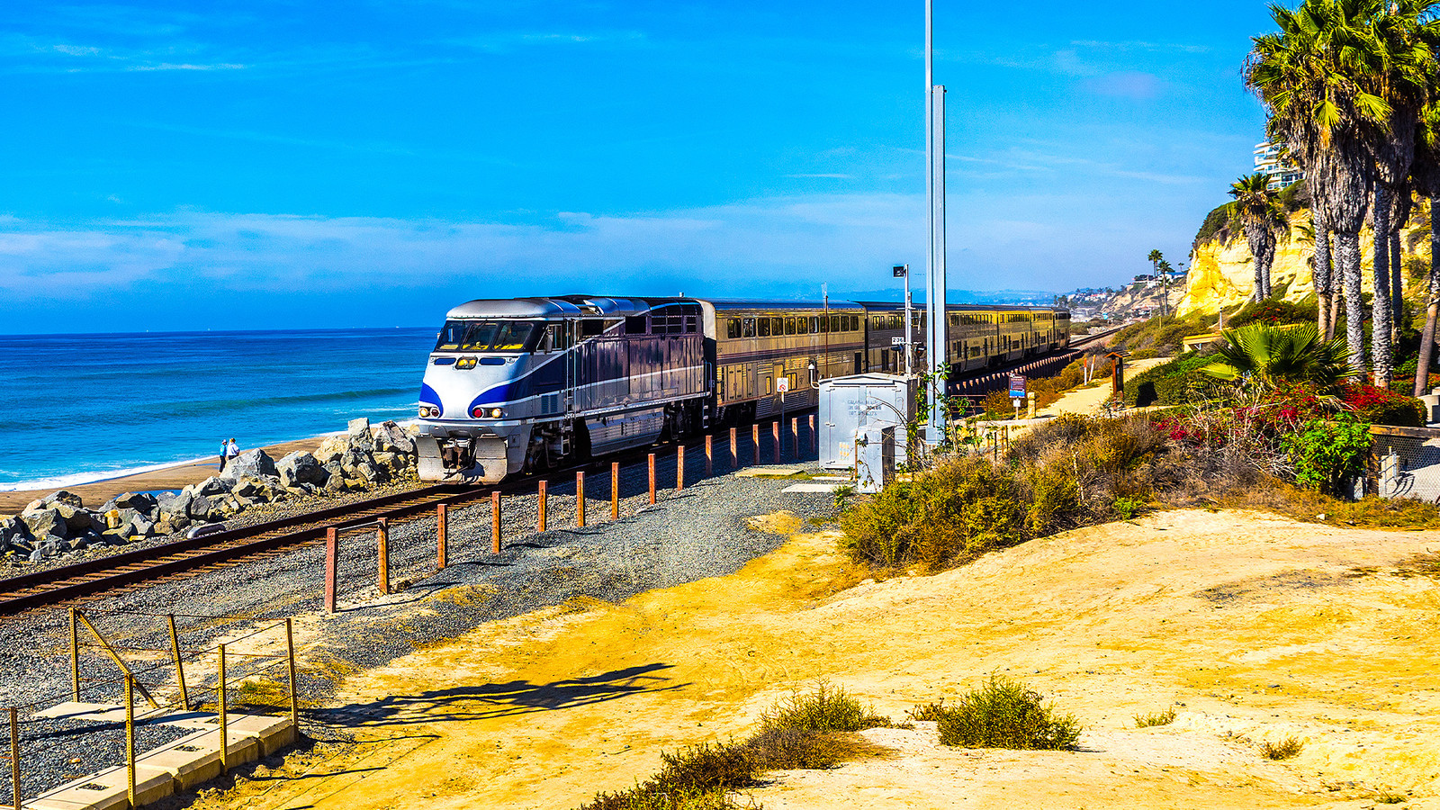 Forget The Pacific Coast Highway: This Spectacular Amtrak Route Boasts Even Better Ocean Views