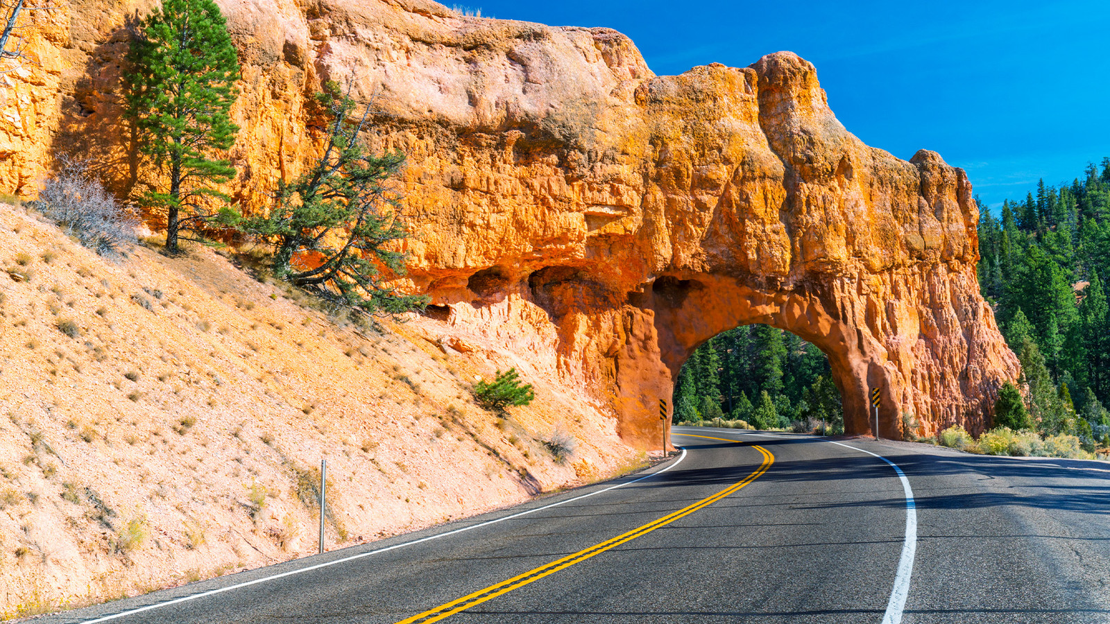 Forget Going-To-The-Sun Road: This Spectacular Route Feels Like Driving Through A "Lord Of The Rings" Movie