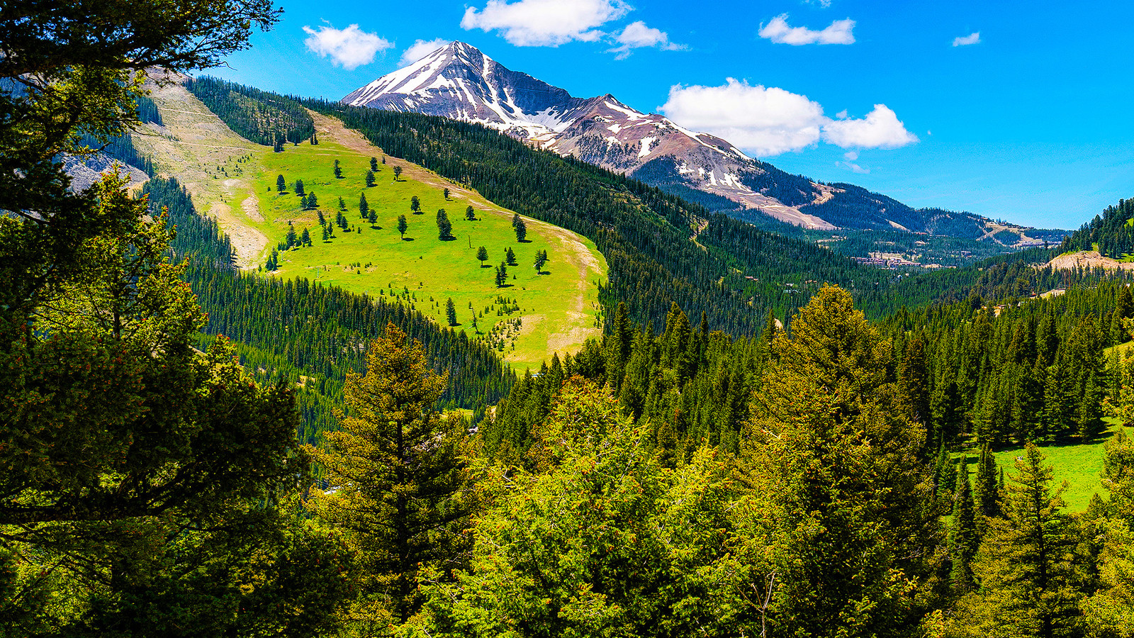 Montana's New Aspen for Spring Break 2026