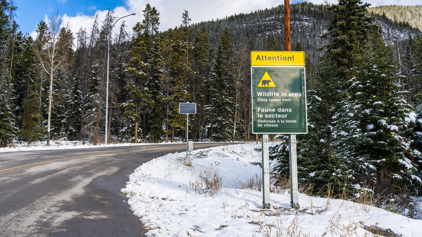 Banff National Park Tells Visitors In Its Latest Update To Respect The Newest Signs Or Pay $25,000