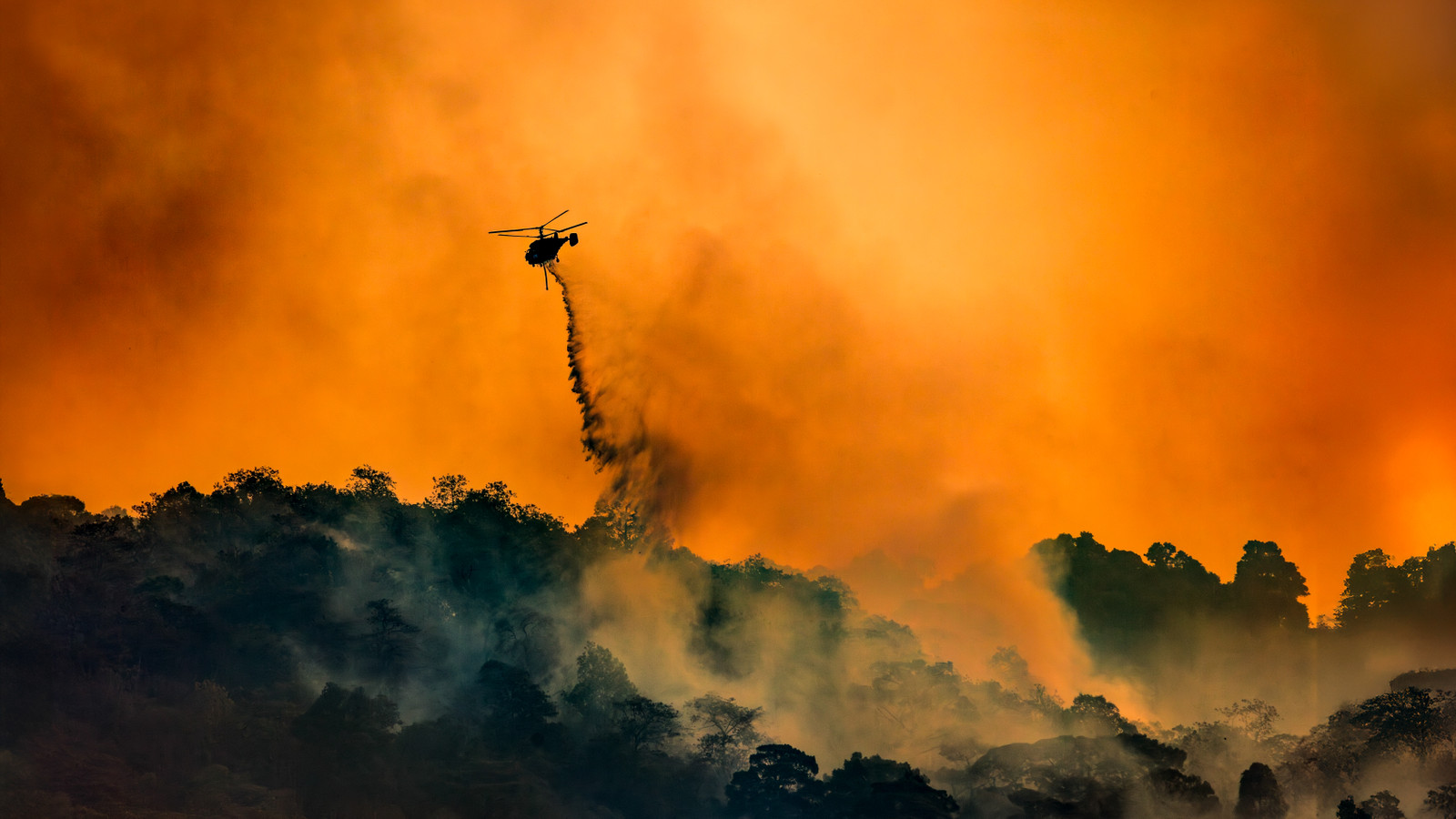 U.S. Spring Break Travelers Warned Of Wildfire Alerts In Multiple States As 40% Of The Country Faces Droughts