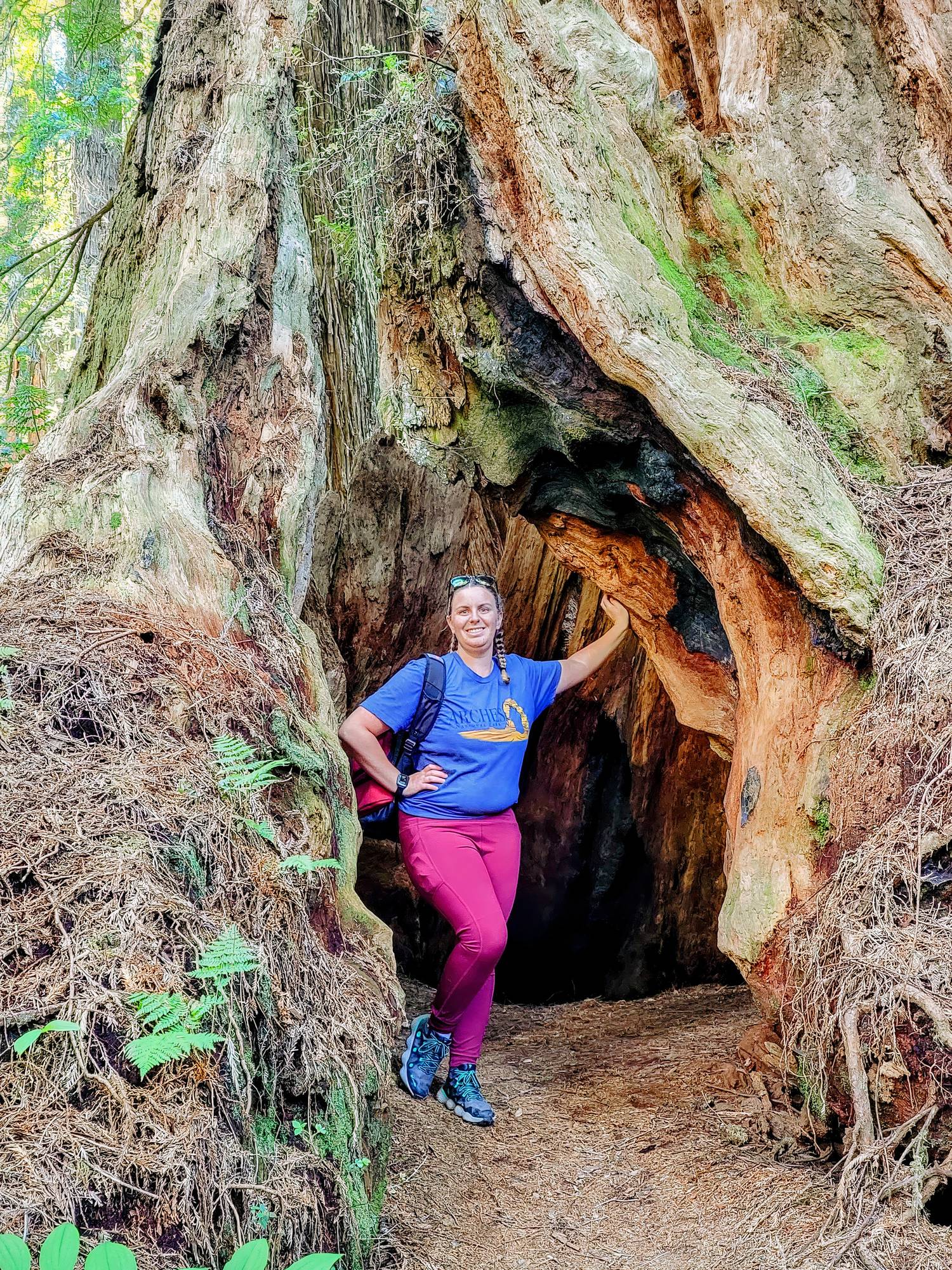 Author in a hollow redwood in Redwood National and State Parks, California