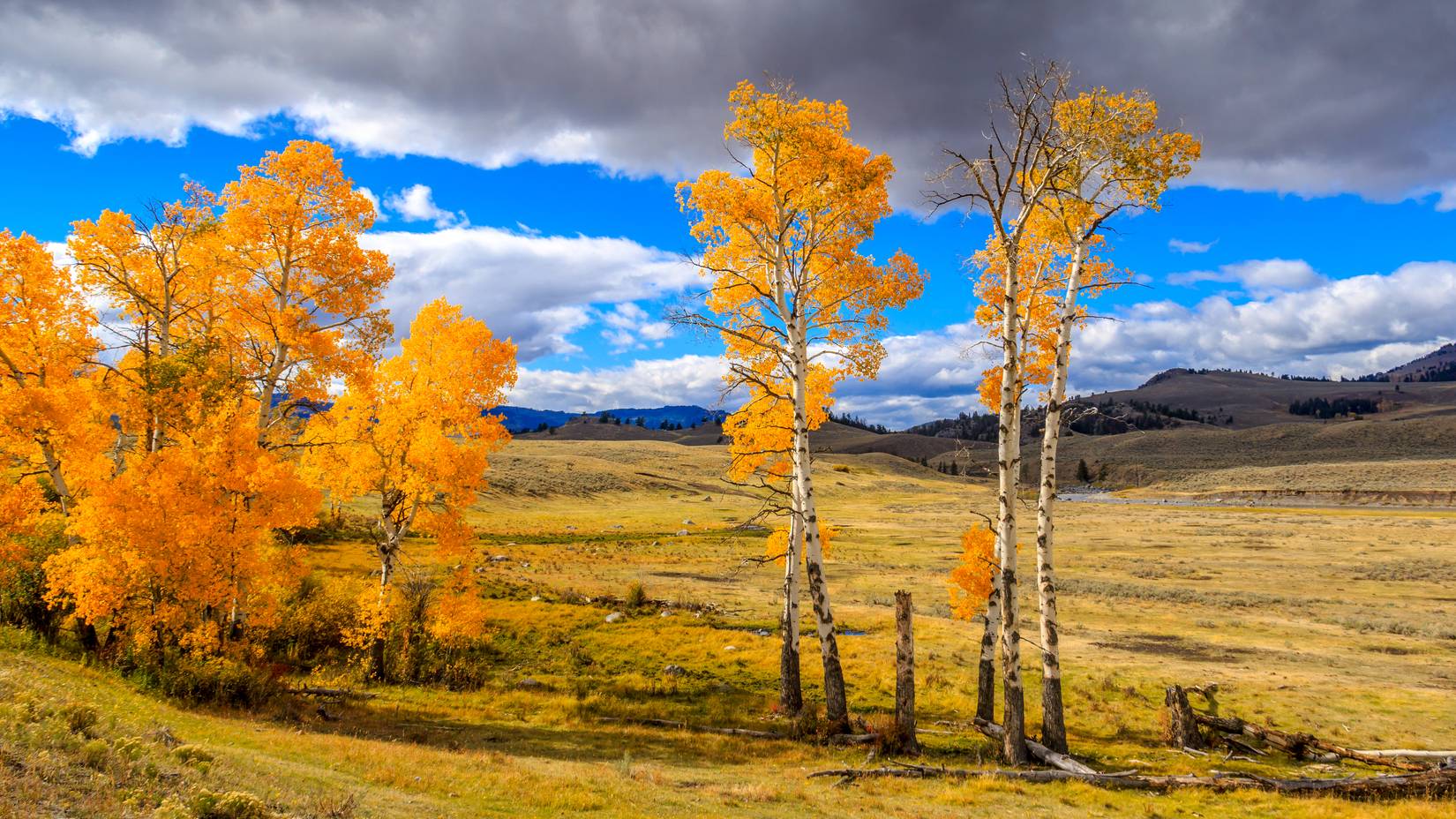 Montana's Cutest Small Town Near Yellowstone Is One You've Never Heard Of