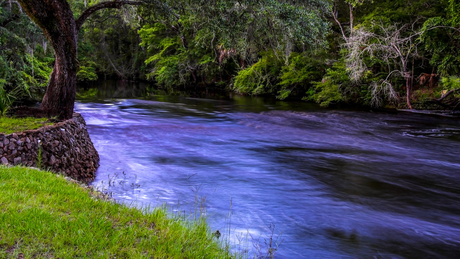 A Florida Sinkhole Accidentally Revealed 500,000-Year-Old Mass Grave