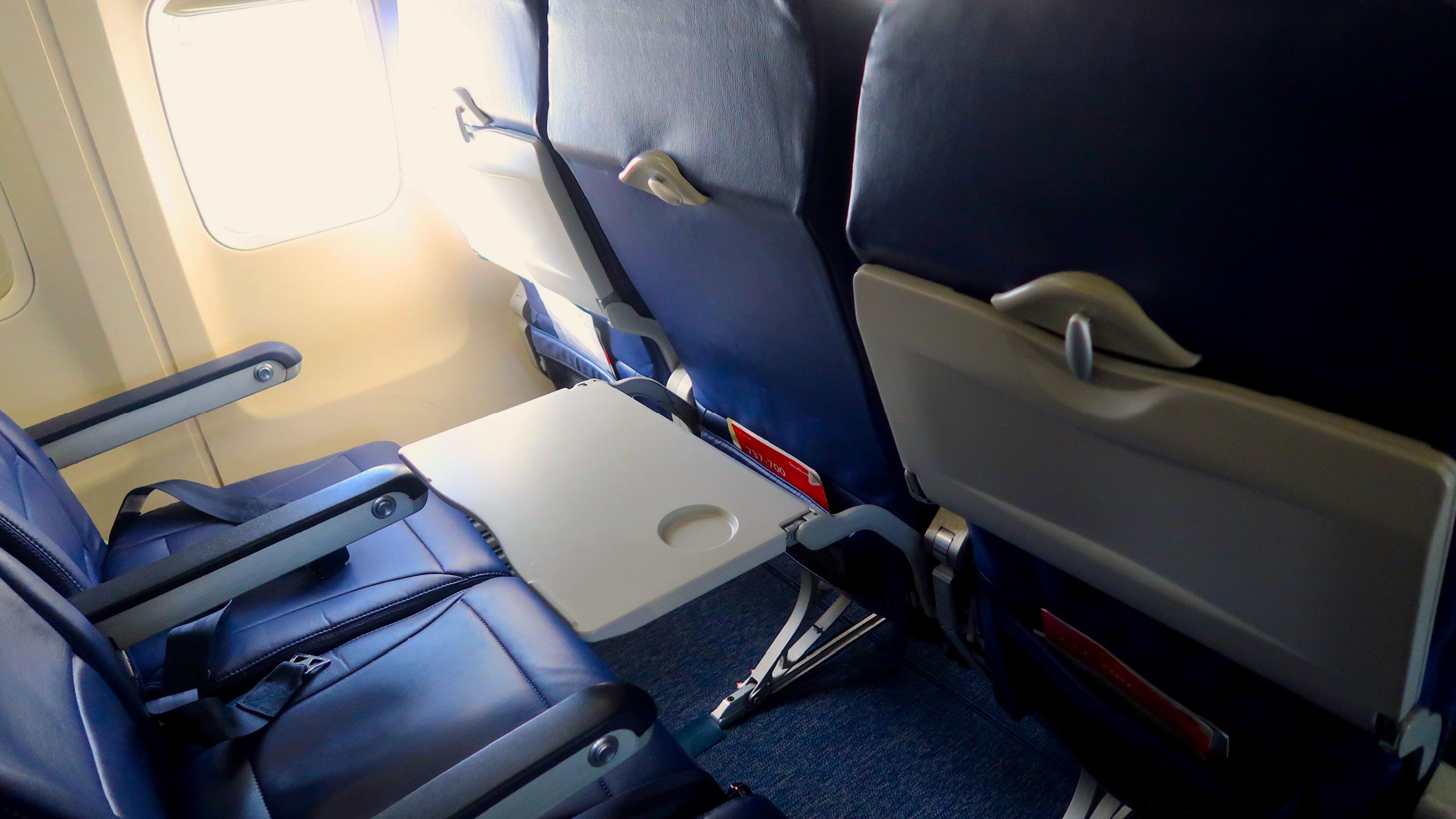 Southwest Airlines Passenger Felt 