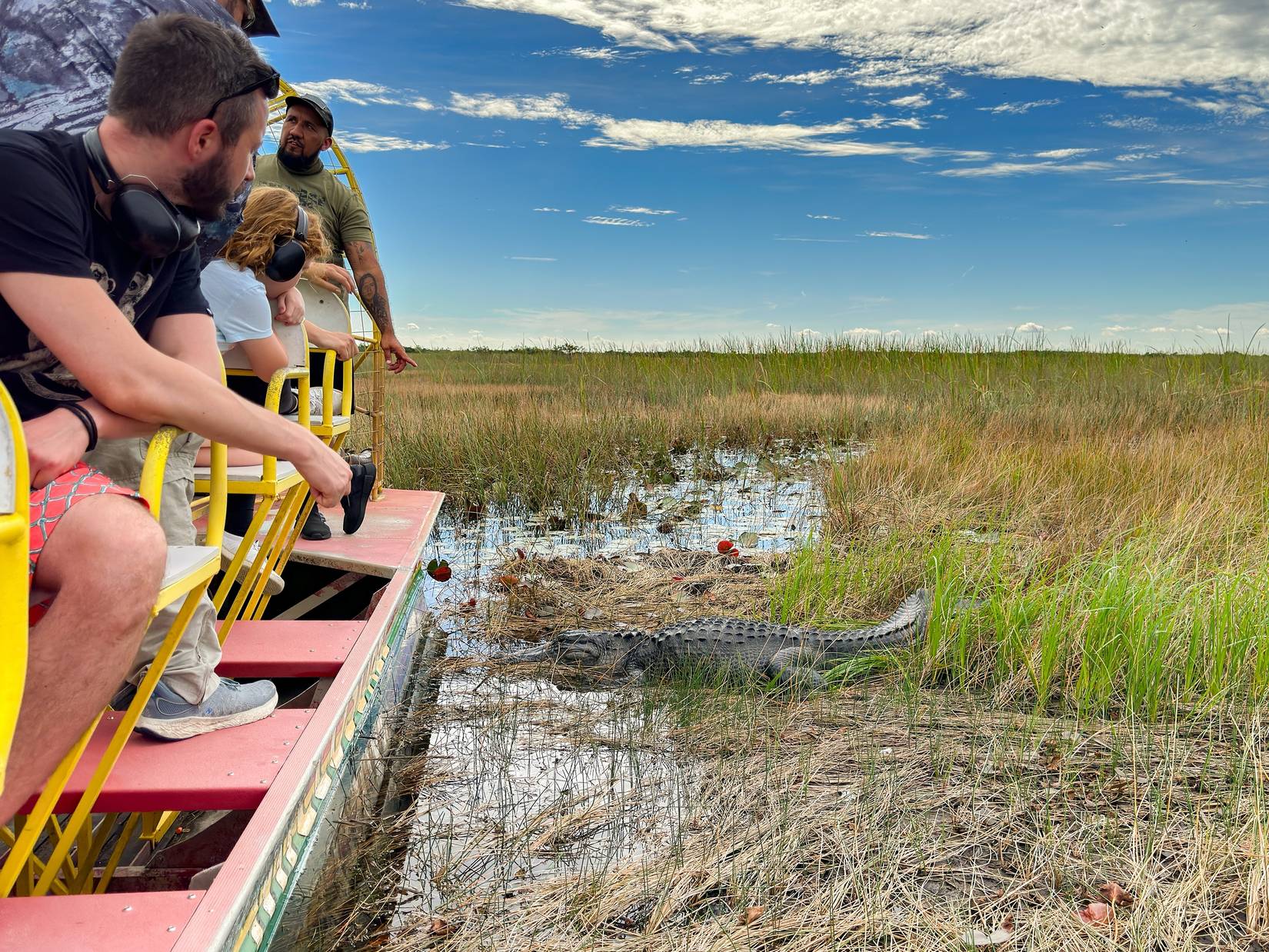 The Only National Park Where Alligators And Crocodiles Coexist In The Wild