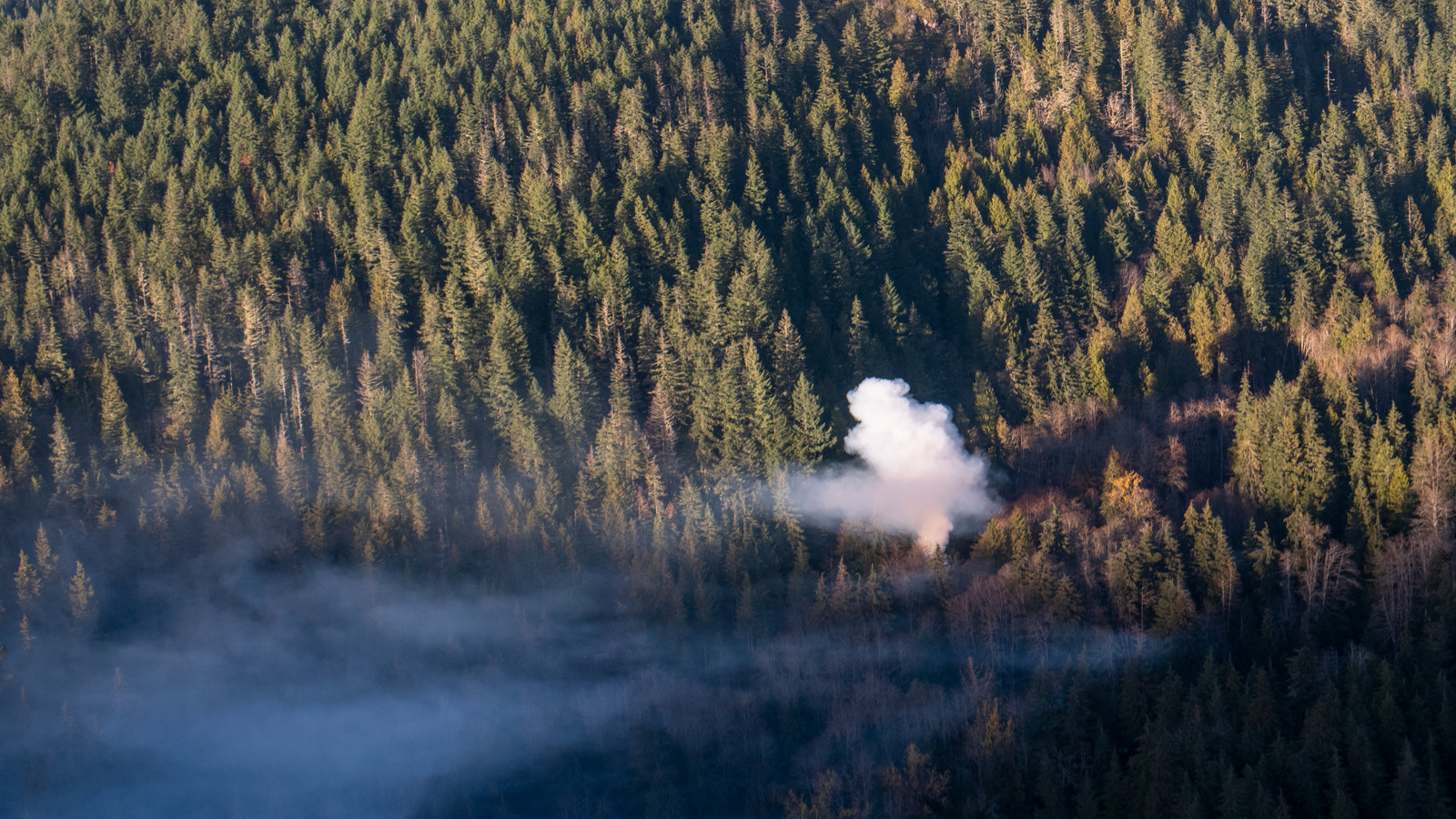 Most Popular U.S. National Park Confirms Closures As Wildfire Source Remains A Mystery