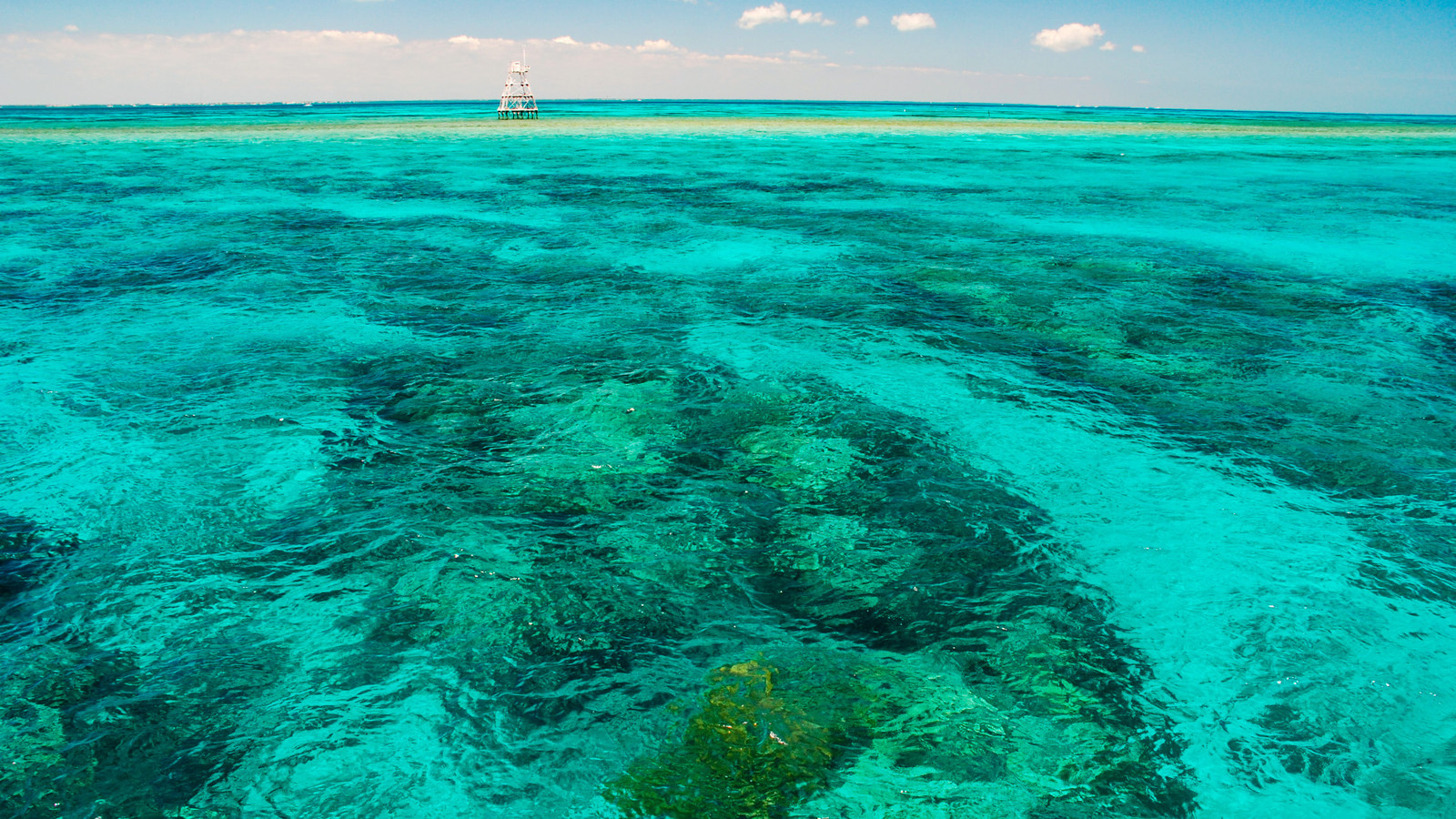 This Historic State Park Is One Of The Few Places In The U.S. Where You Can See Living Coral Reefs