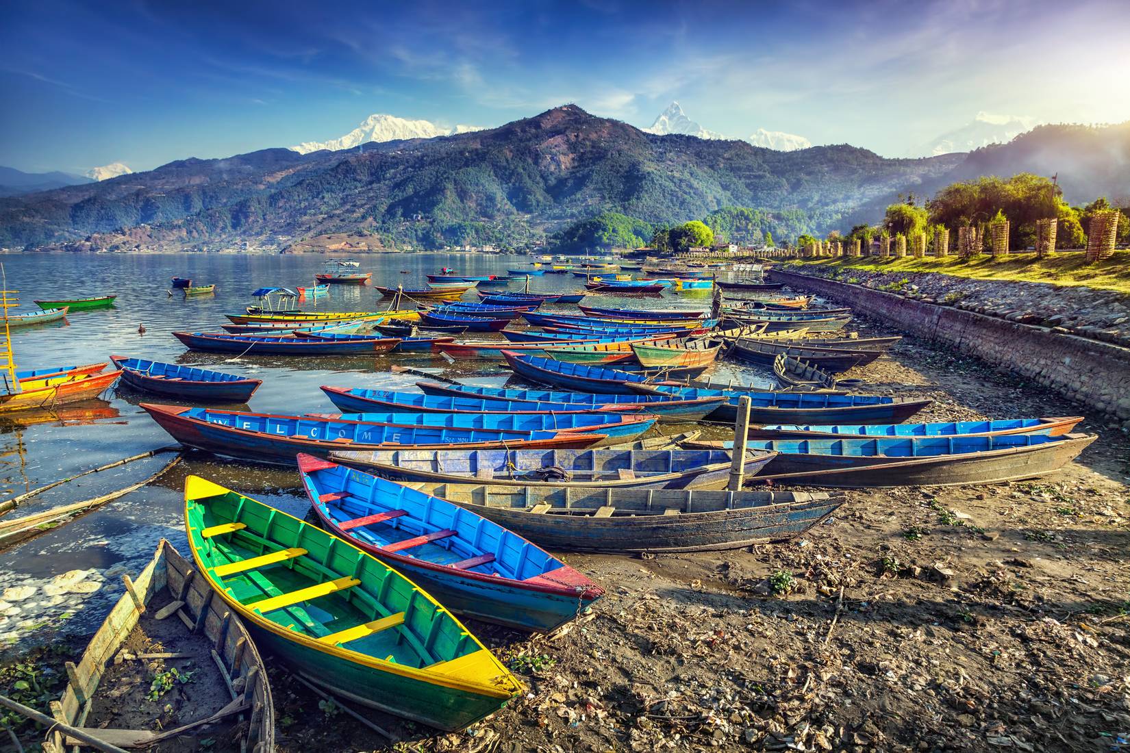 Canadian Travelers Warned Of Bizarre $20 Million Tourist Scam In World ...