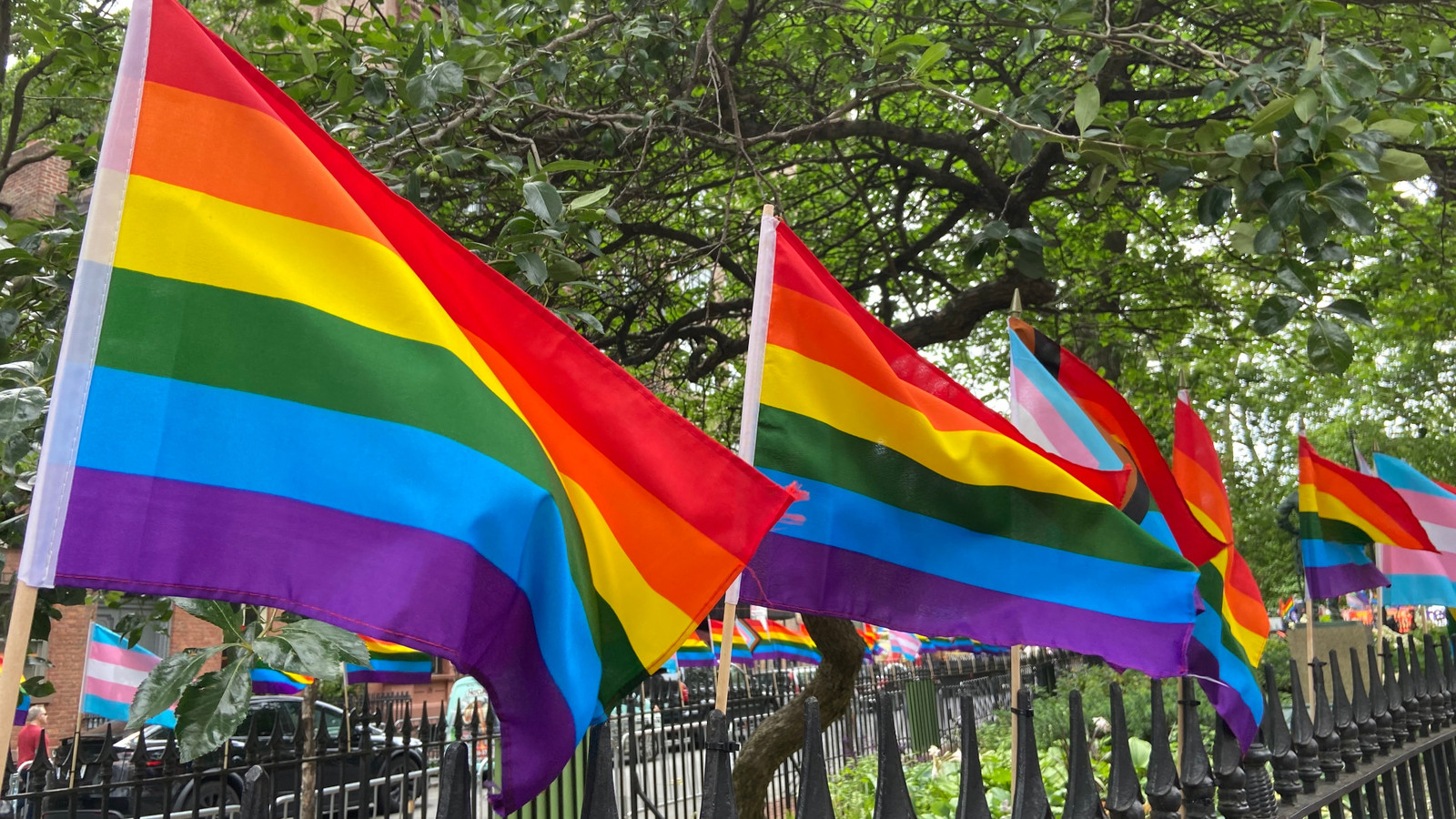 U.S. Interior Department Maintains Online Censorship Despite Pride Flag Ban Reversal