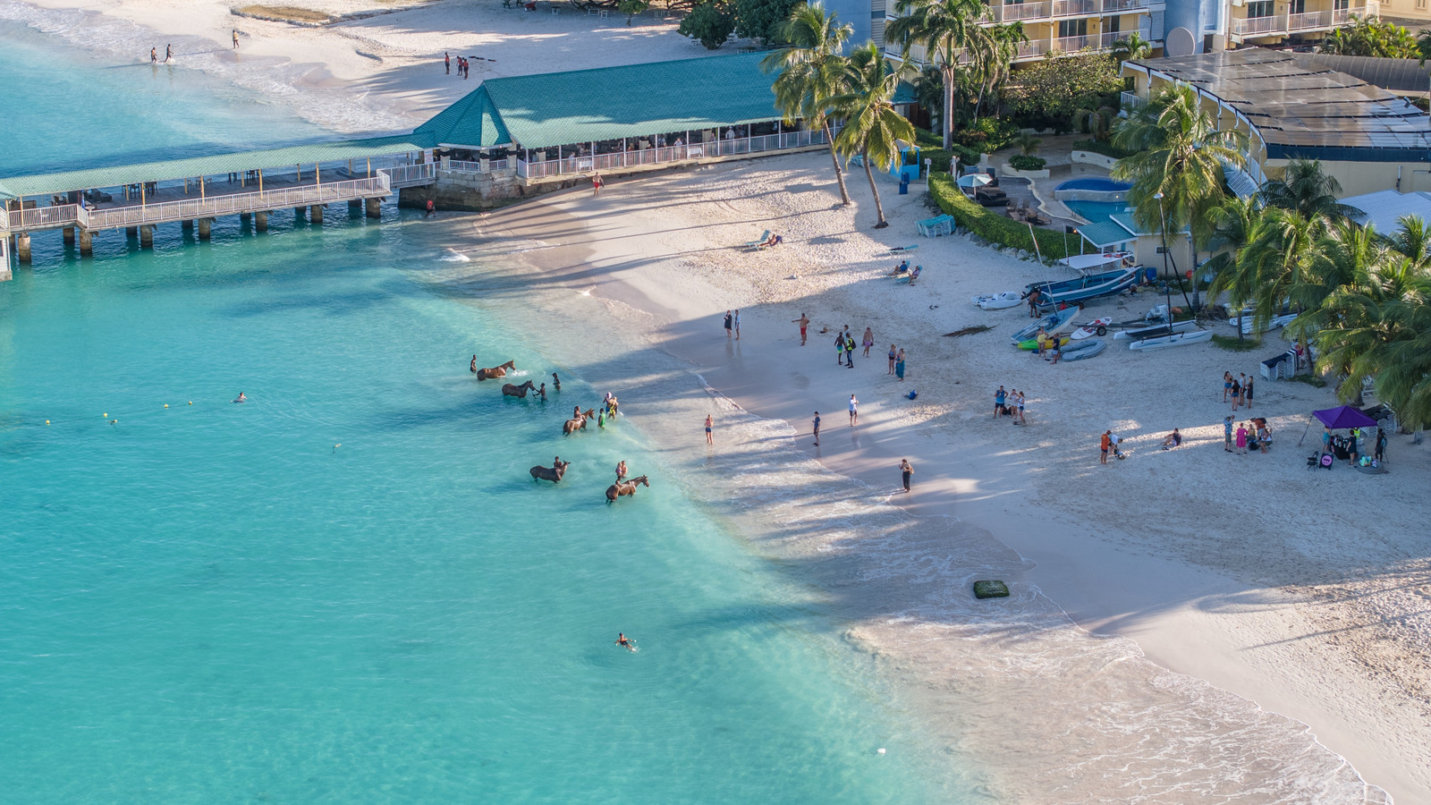 Canadian Airline That Canceled All U.S. Flights Keeps Canada's Boycott Alive With Bold New Route To Popular Destination