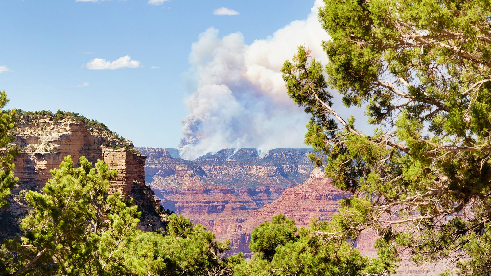 Struggling National Park Employees Blamed For Grand Canyon Fire But Reality Suggests Who's Really At Fault