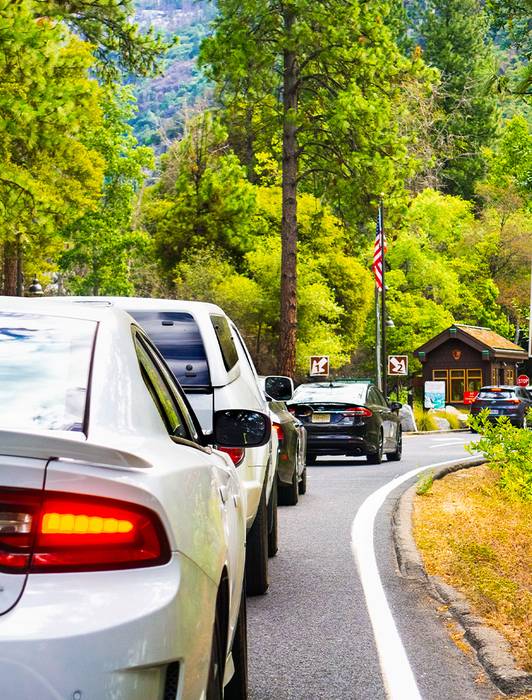 A line of cars in traffic on a road deep in the forest of Yosemite