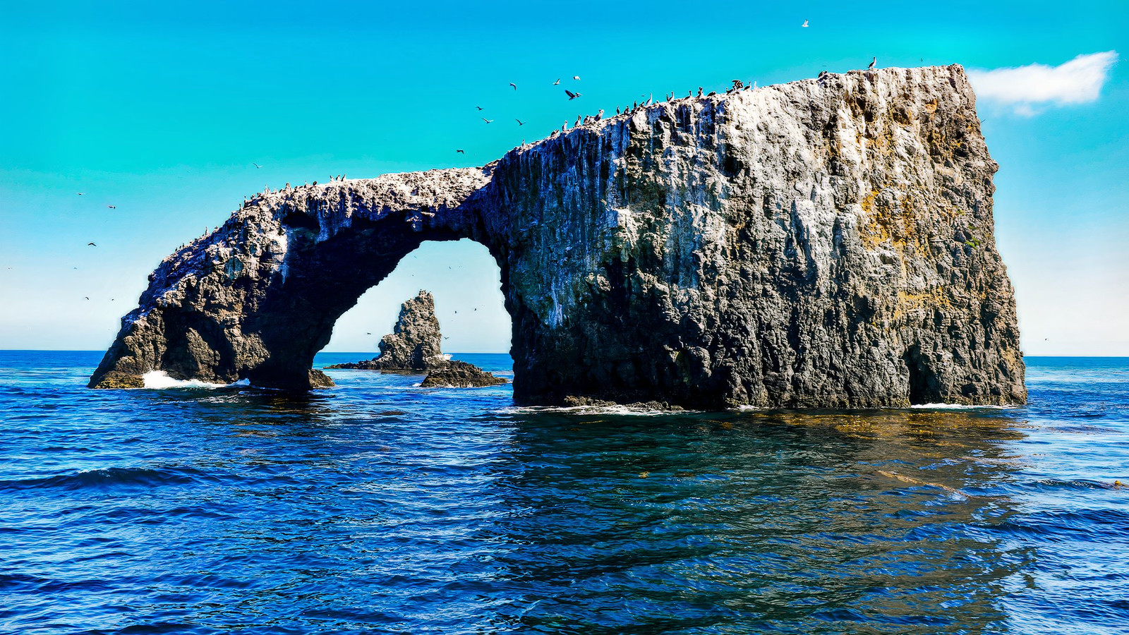 California's Own Galápagos Is 60 Miles From Los Angeles And Almost Nobod