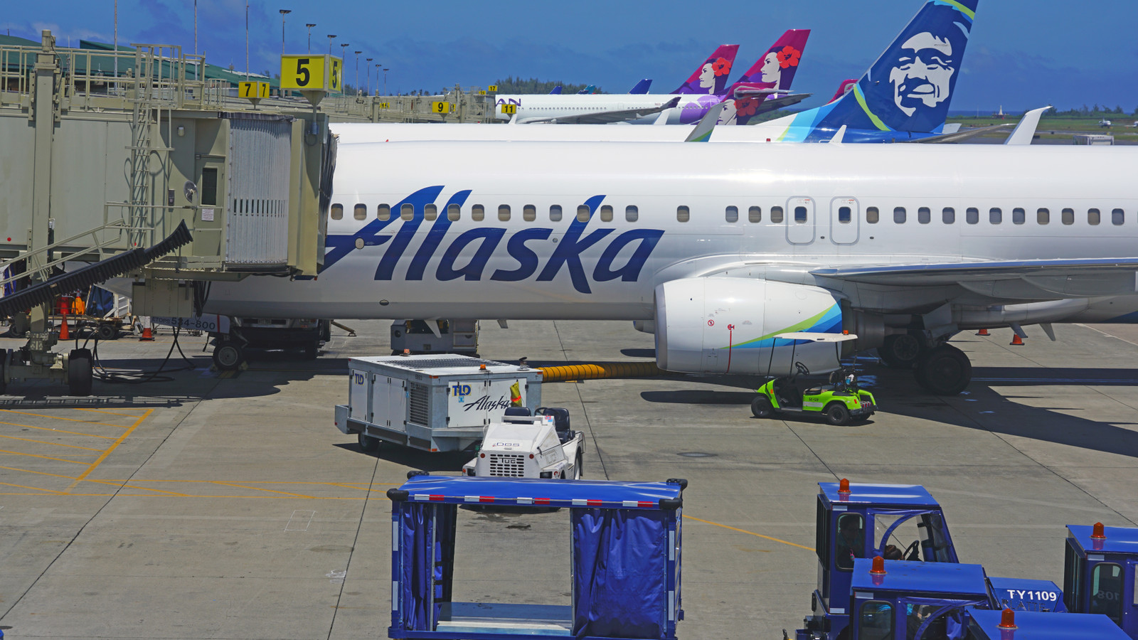 Hawaiian Airlines Employees Face A Dress Code Ban As Alaska Airlines Partnership Results In Another Change