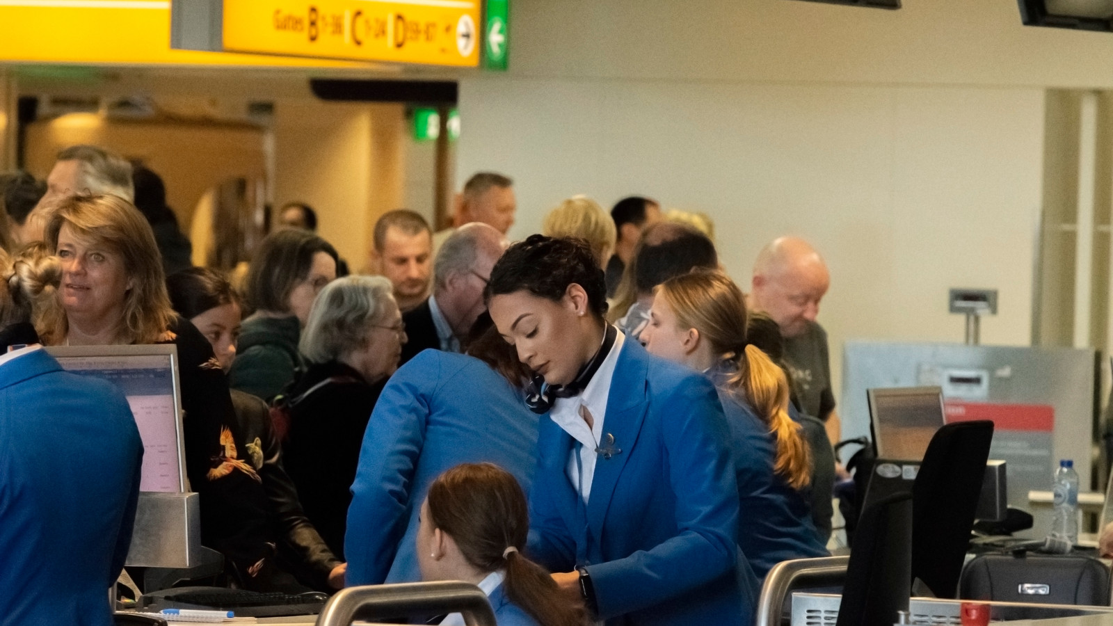 U.S. Airlines Urged To Screen Passengers For Hantavirus Following KLM Flight Attendant Infection Scare