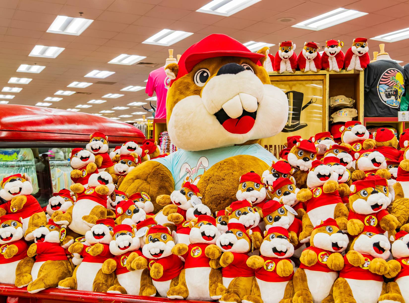 Buc-ee's Mascot