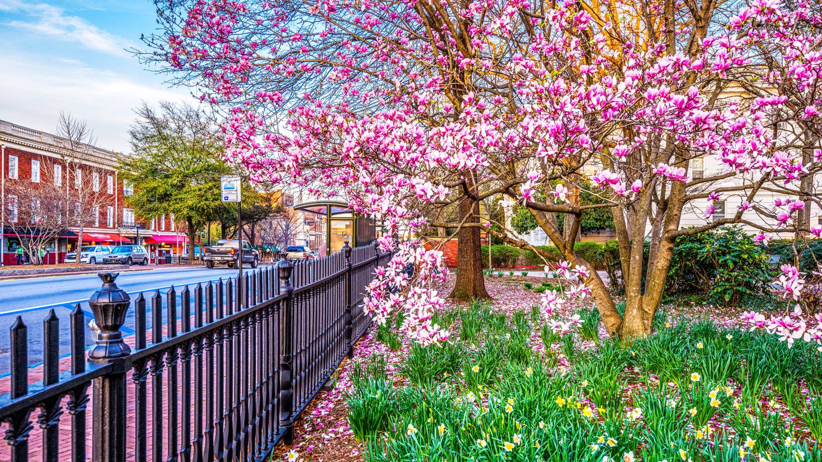 Georgia Spring Hd The