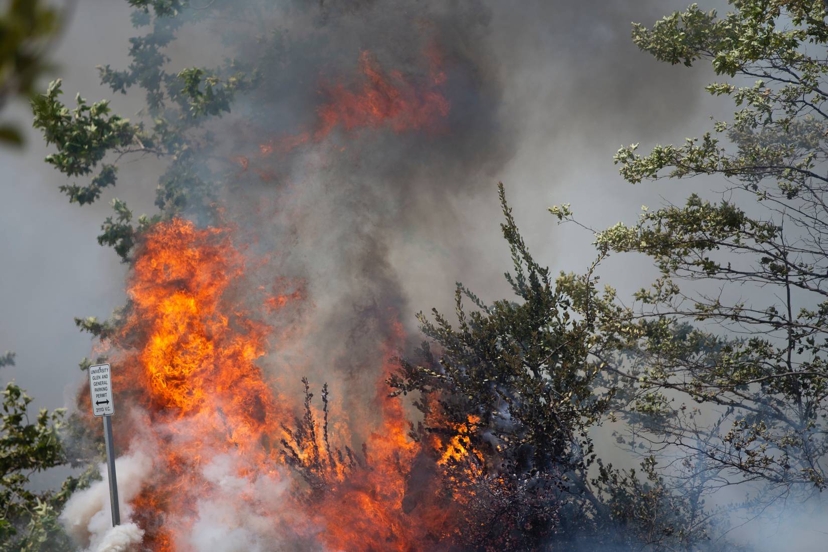 Wildfire near Channel Islands National Park in California, CA, USA