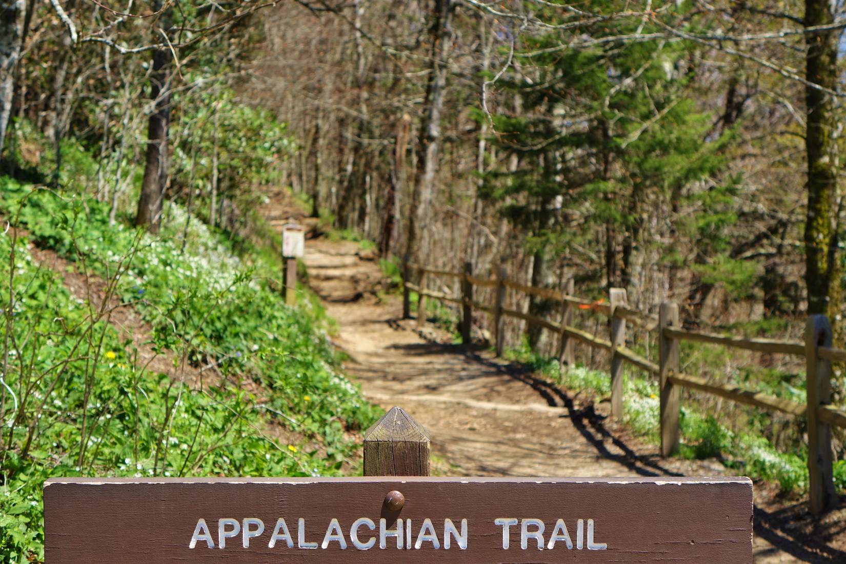 Spring Danger Sign Shenandoah National Park Issues Warning Over Norovirus Outbreak On ...