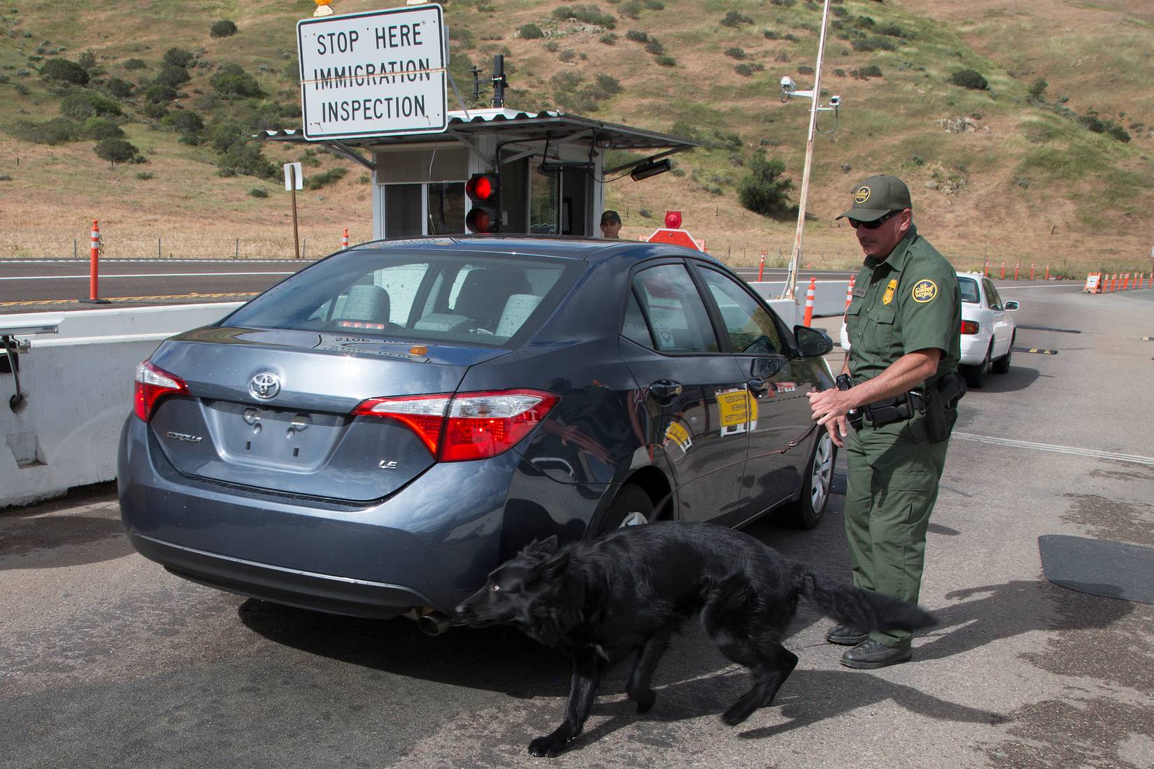 Cbp Check