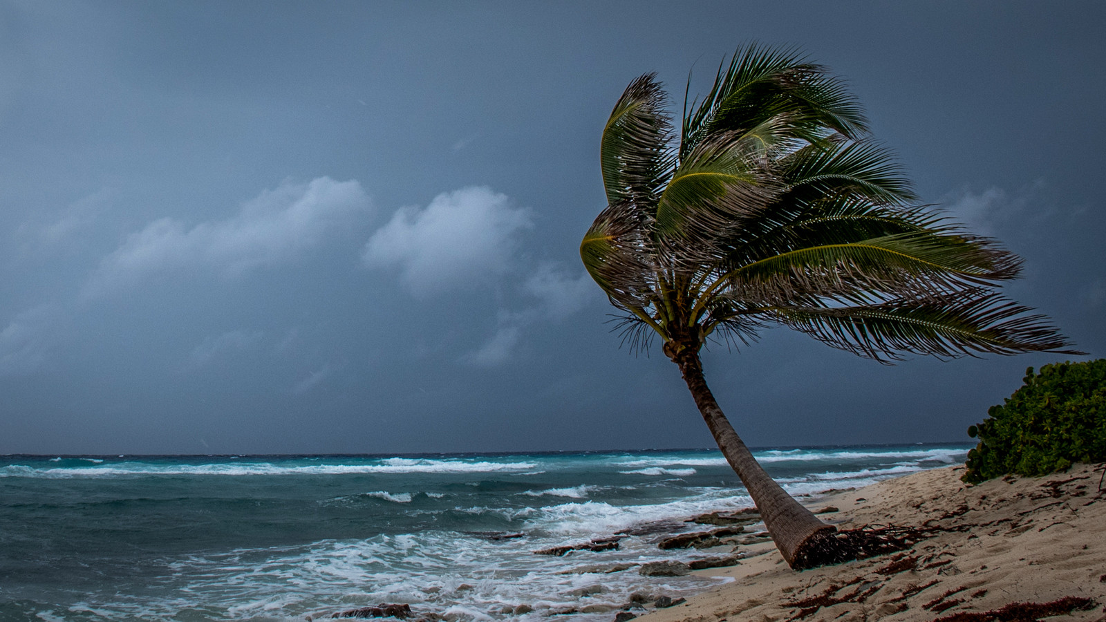 Live Updates: Severe Storms Halt U.S. Air Travel Across Central And Eastern States