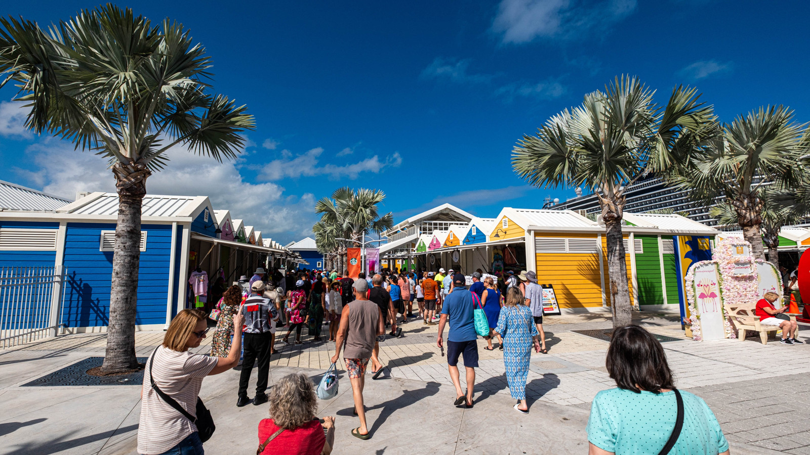 Six American Cruise Passengers Face Thousands In Fines Or Jail Time After "Violent Struggle" With Police At Royal Caribbean's Most-Visited Port