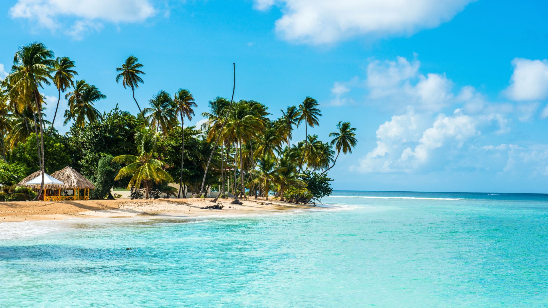 U.S. Government Issues Travel Alert For Caribbean Destination Due To Crime-Related State Of Emergency