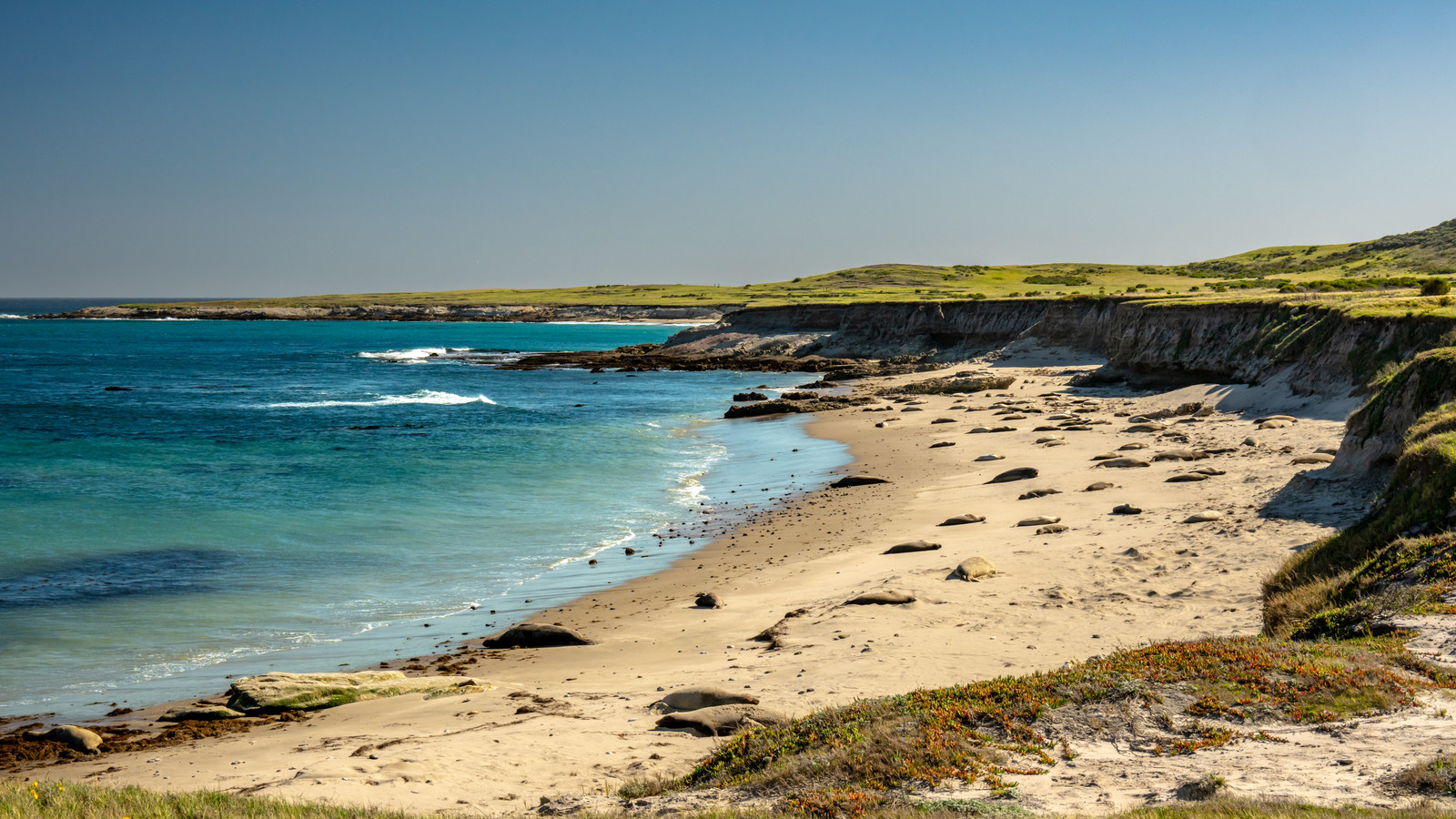 National Park Service Issues Unexpected June Update For The “Galapagos Of America”