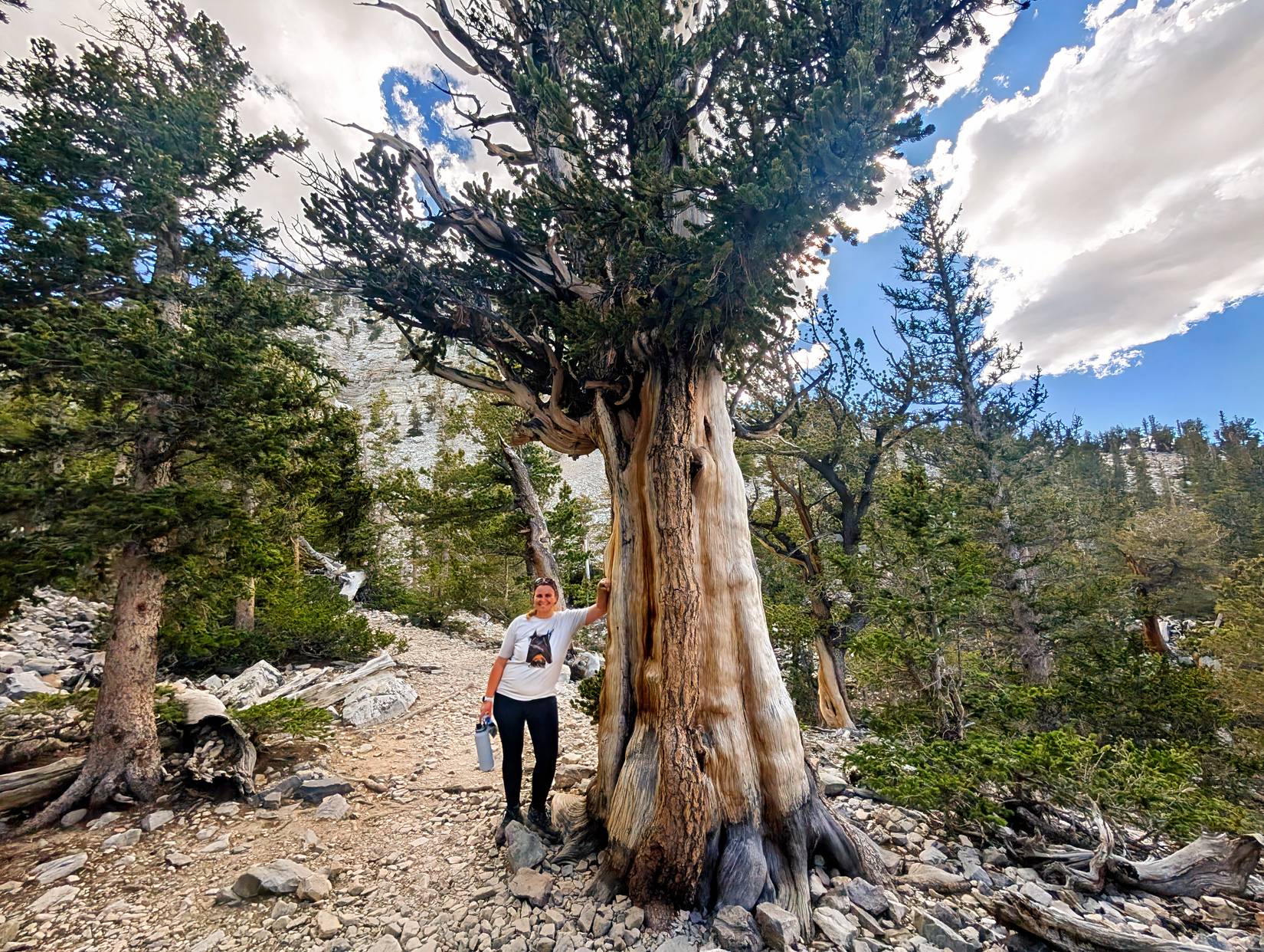 The author leans against a bristlecone pine on the Bristlecone Pine Trail, Great Basin National Park, Nevada