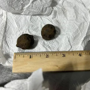 TSA Cannonballs