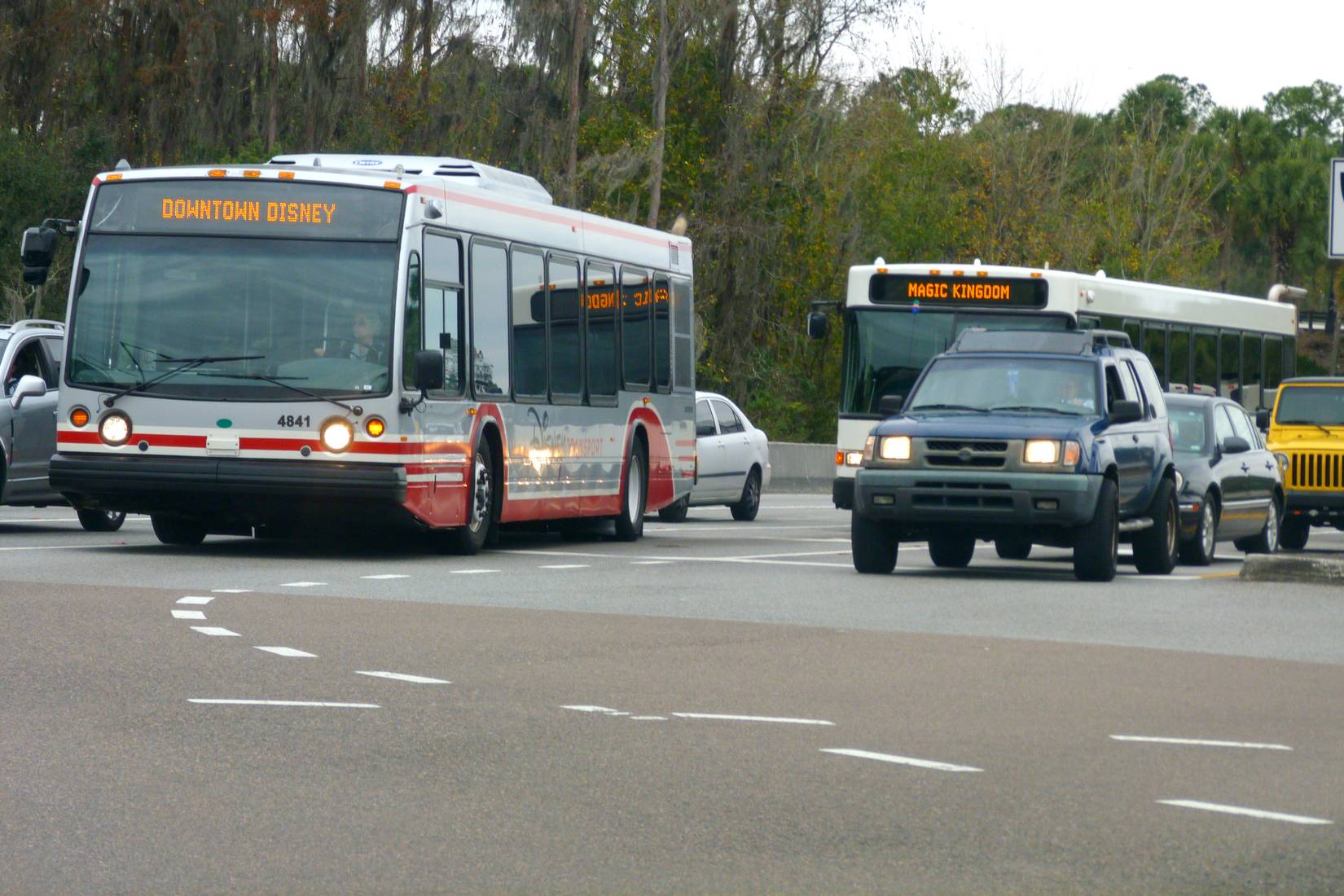 Disney Transport Busses surrounded by traffic on the way to the park